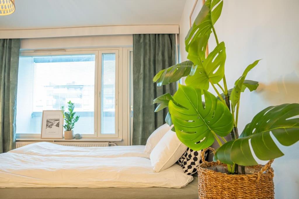Arctic Downtown Dream: Cozy City Studio