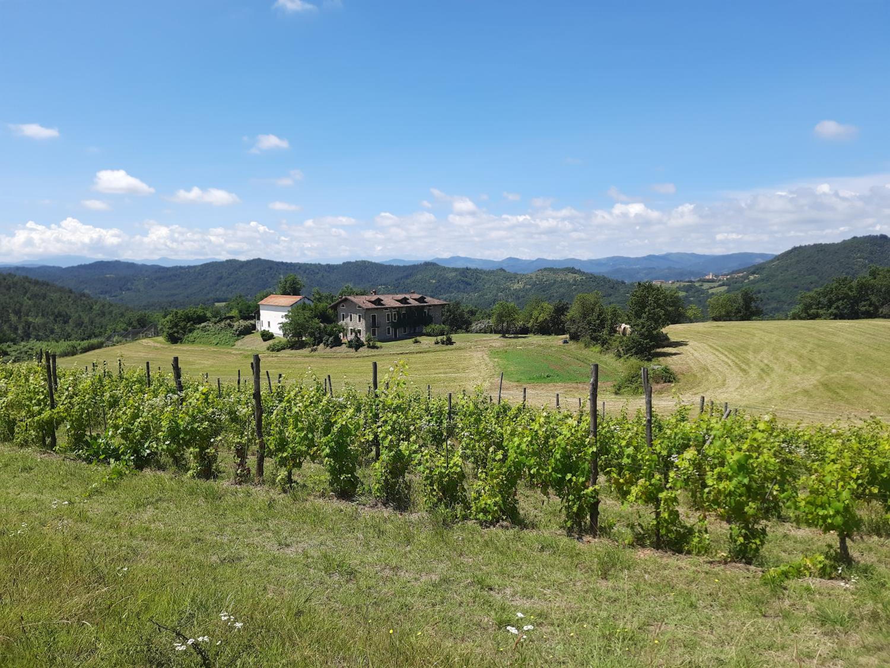 Agriturismo Cascina Bozzetti - Tutta La Struttura in Esclusiva view 4