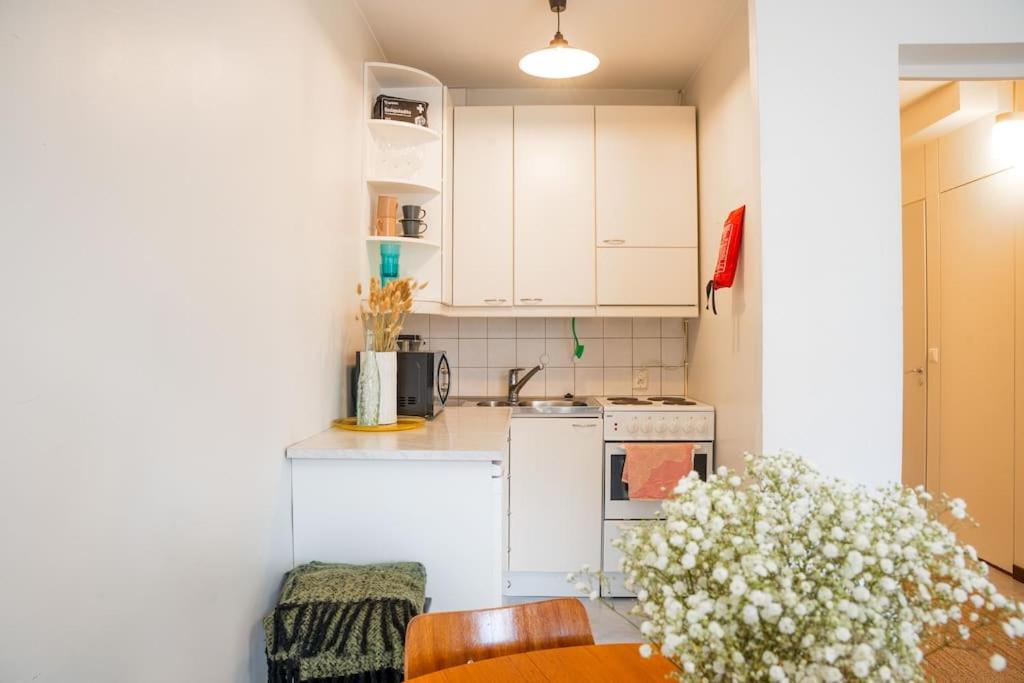Arctic Vintage Oasis: Unique City Studio