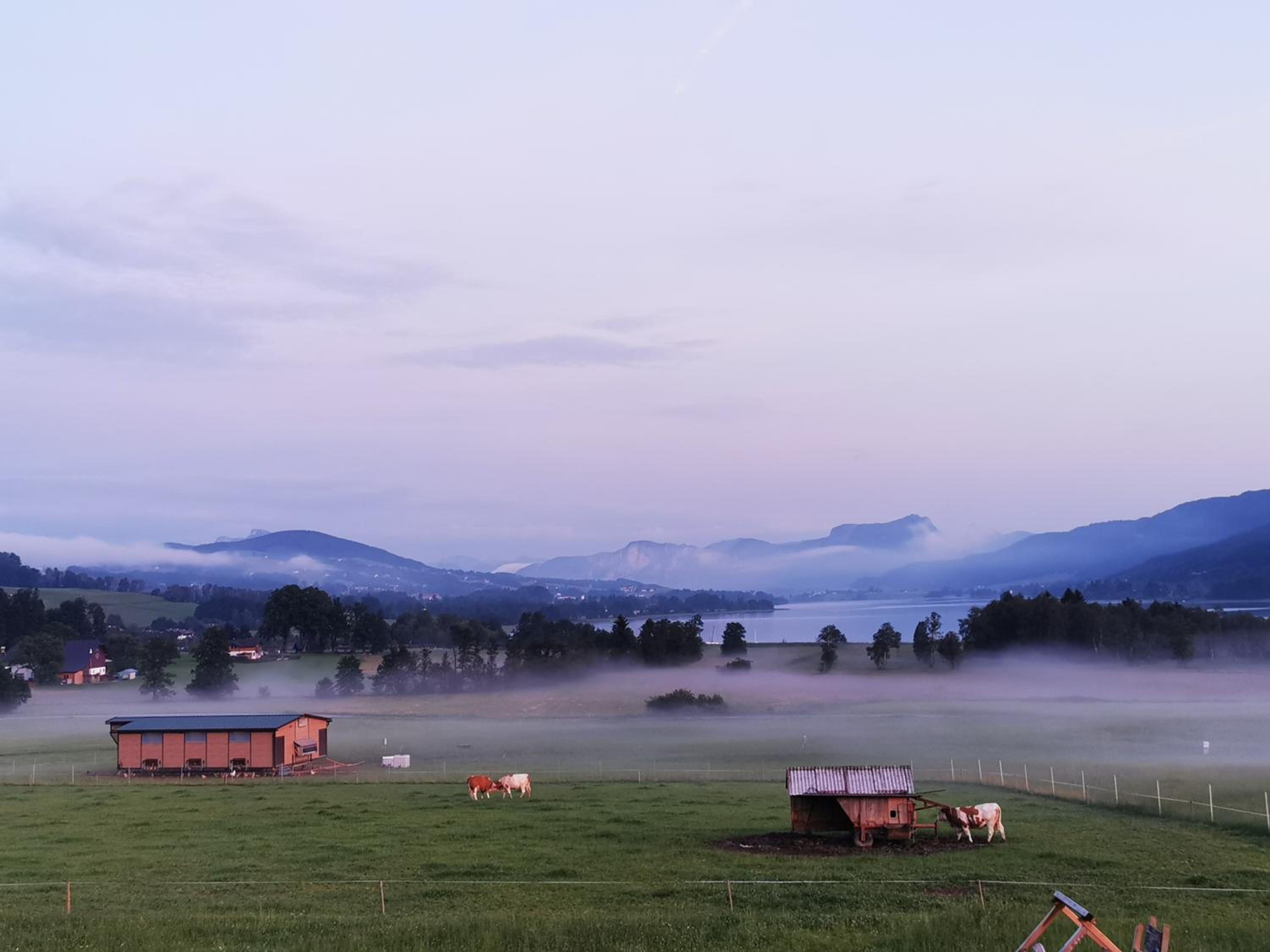 Sunnhof