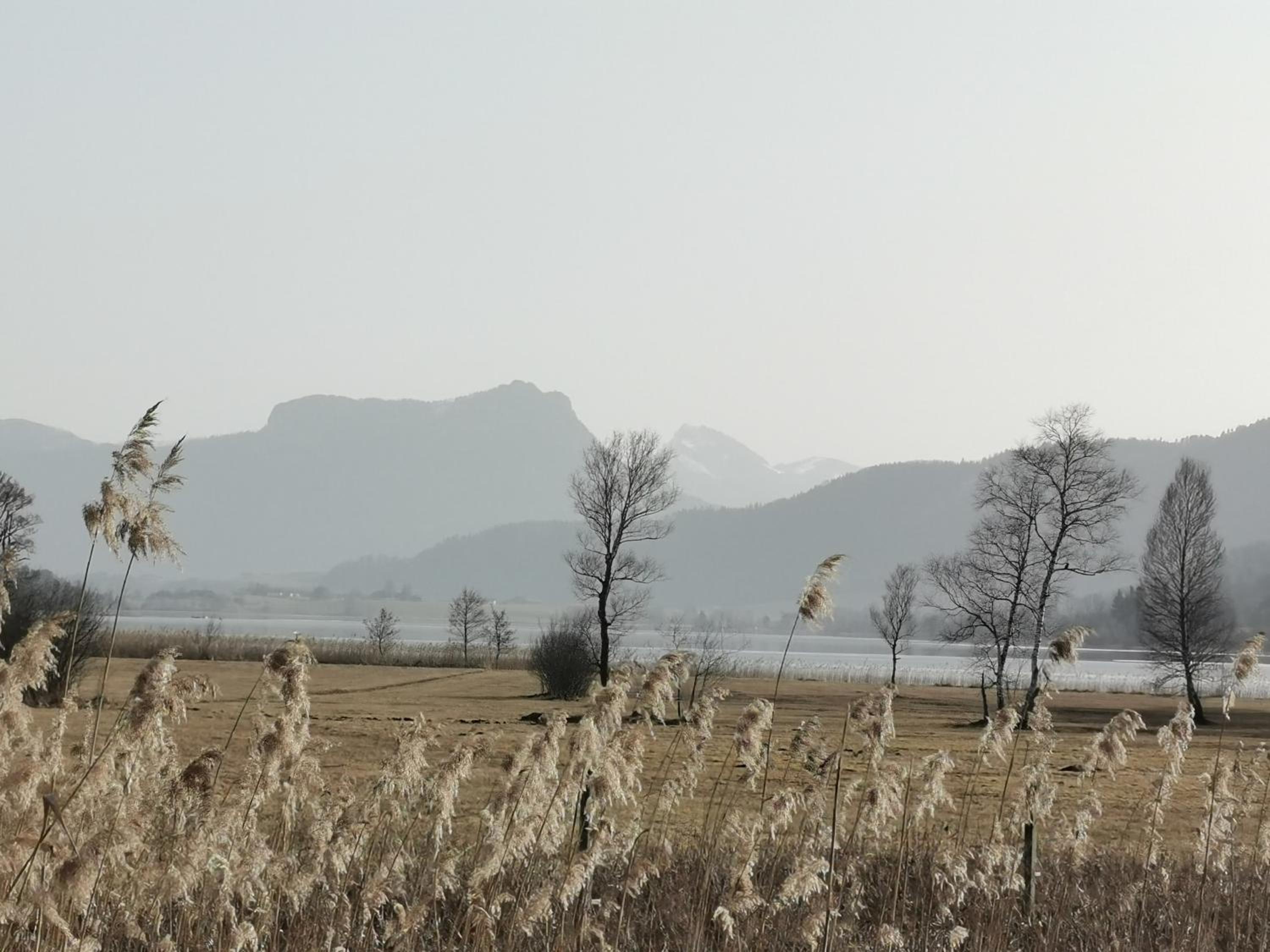 Sunnhof