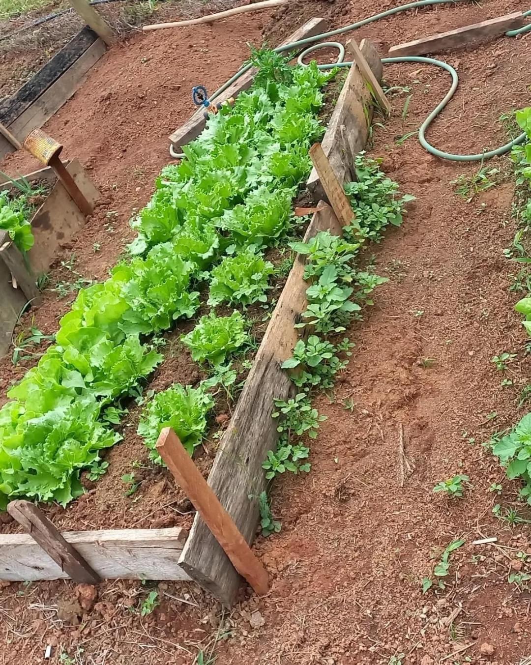 Pousada Recanto das Hortênsias