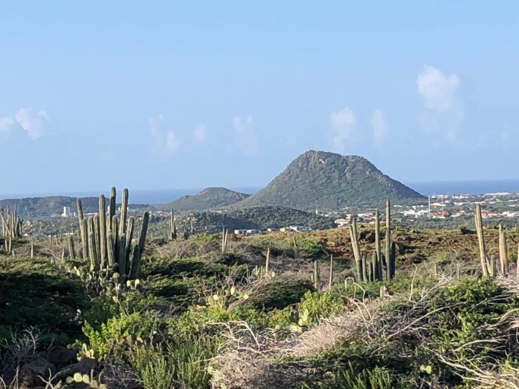 Pura Vida Aruba Appartement Palma