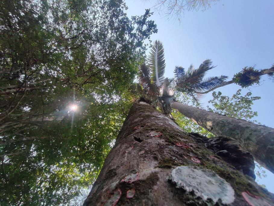 Casa Enxaimel em Pomerode SC