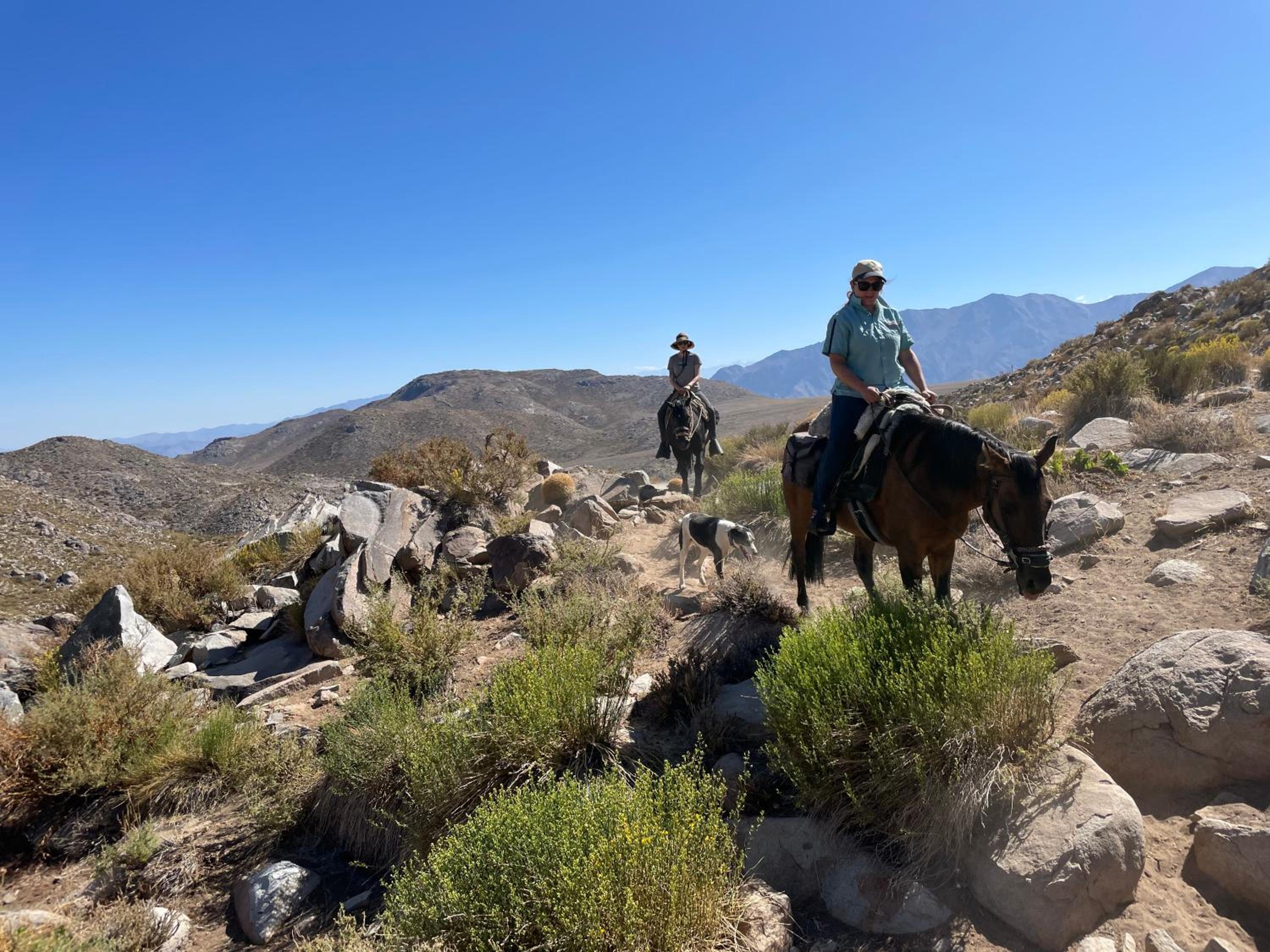 Cabalgatas y Alojamiento LocuraChile