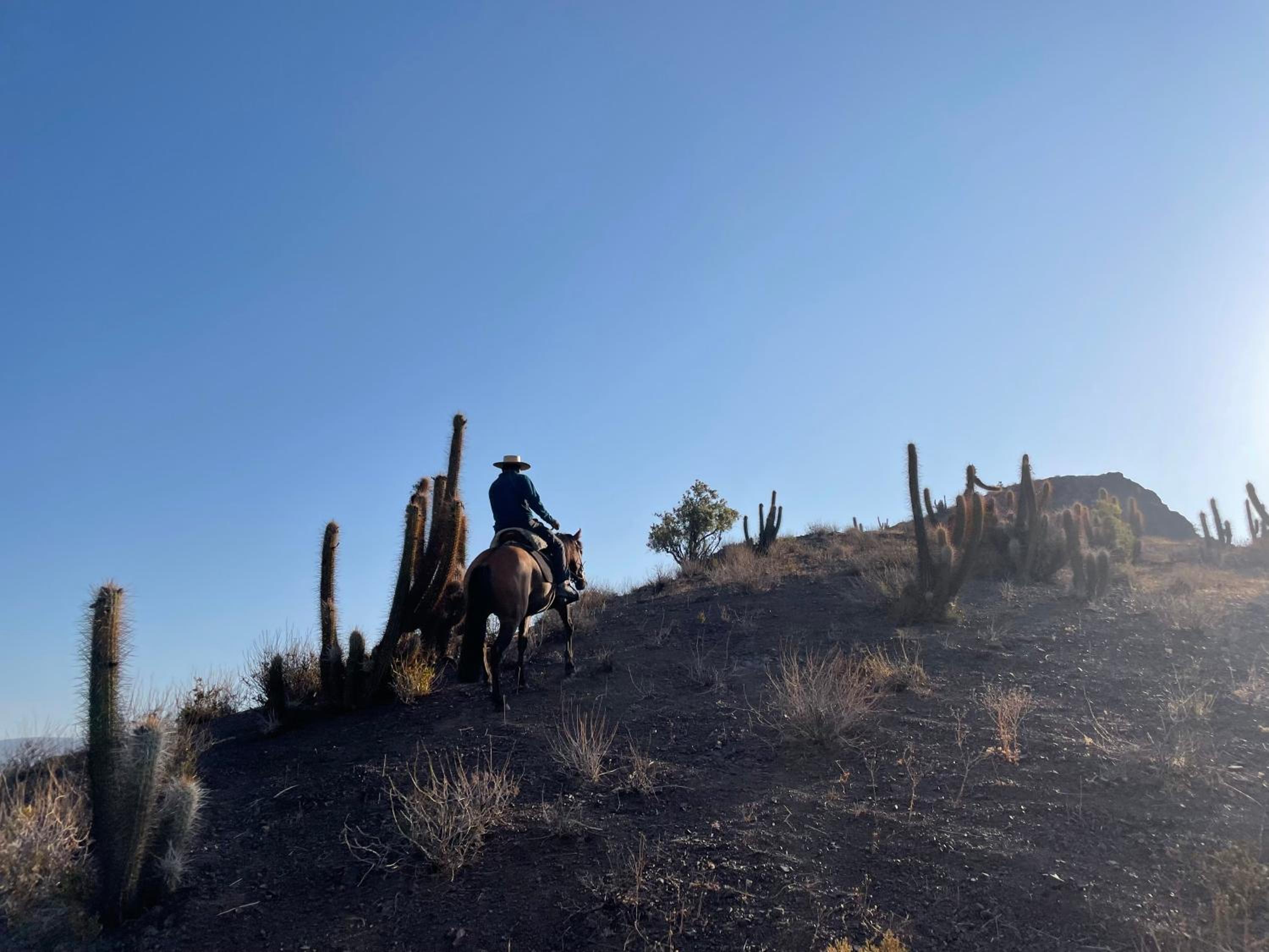 Cabalgatas y Alojamiento LocuraChile