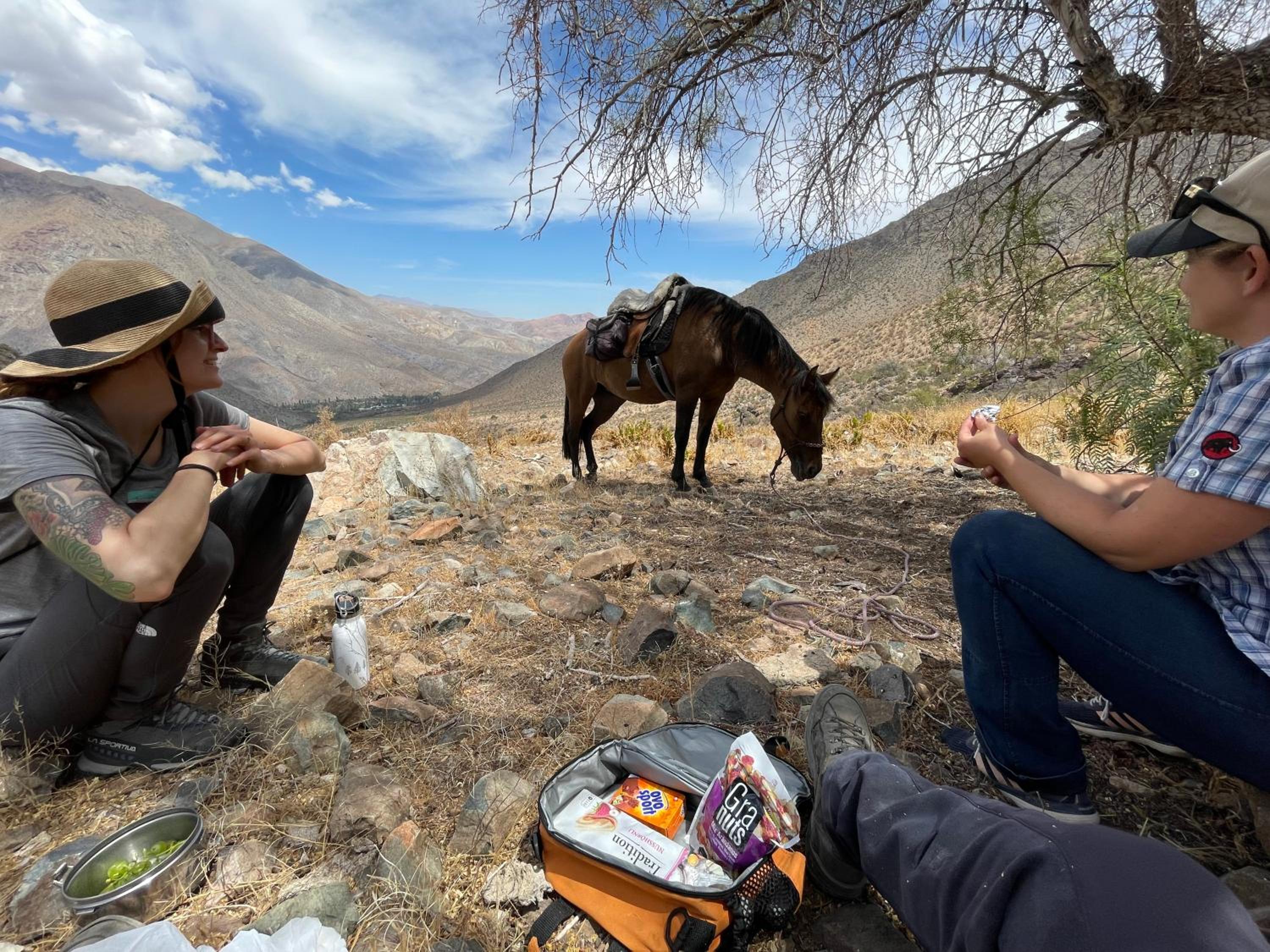 Cabalgatas y Alojamiento LocuraChile