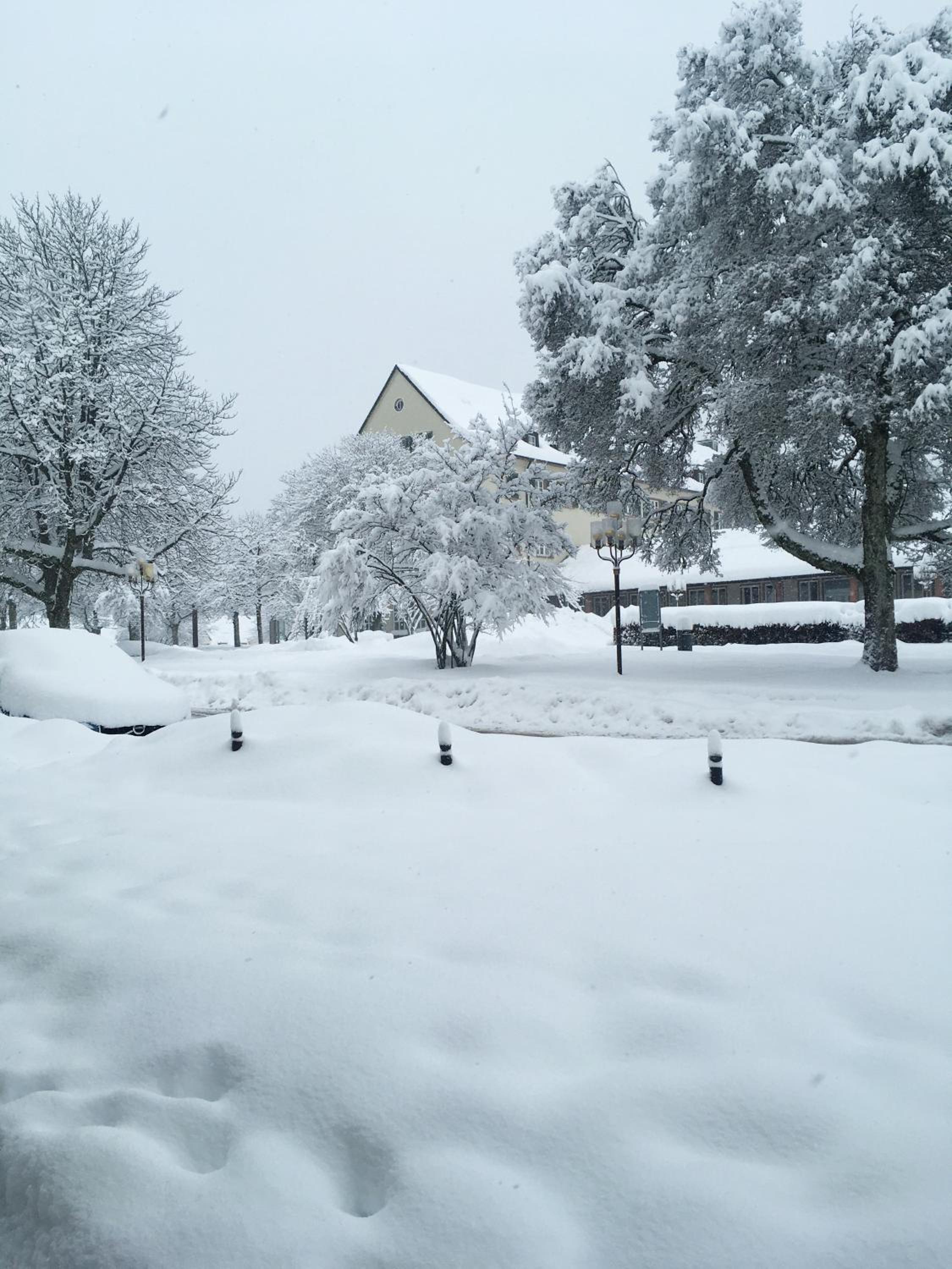 Sunny Freudenstadt