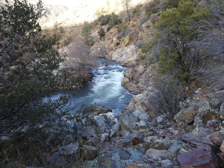 Photo 40
