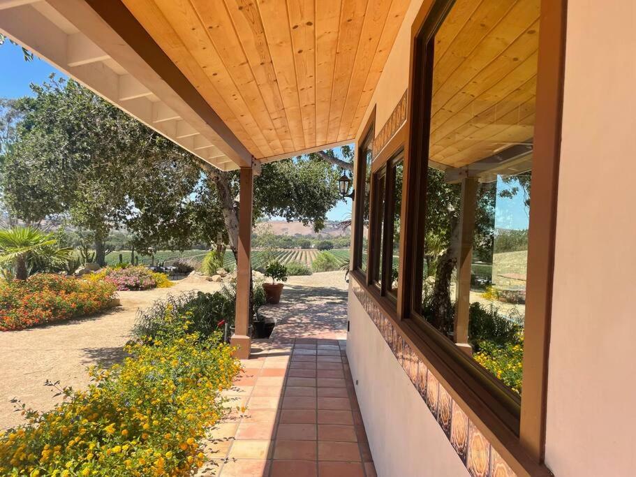 Hilltop Vineyard and Agave Field with View view 3