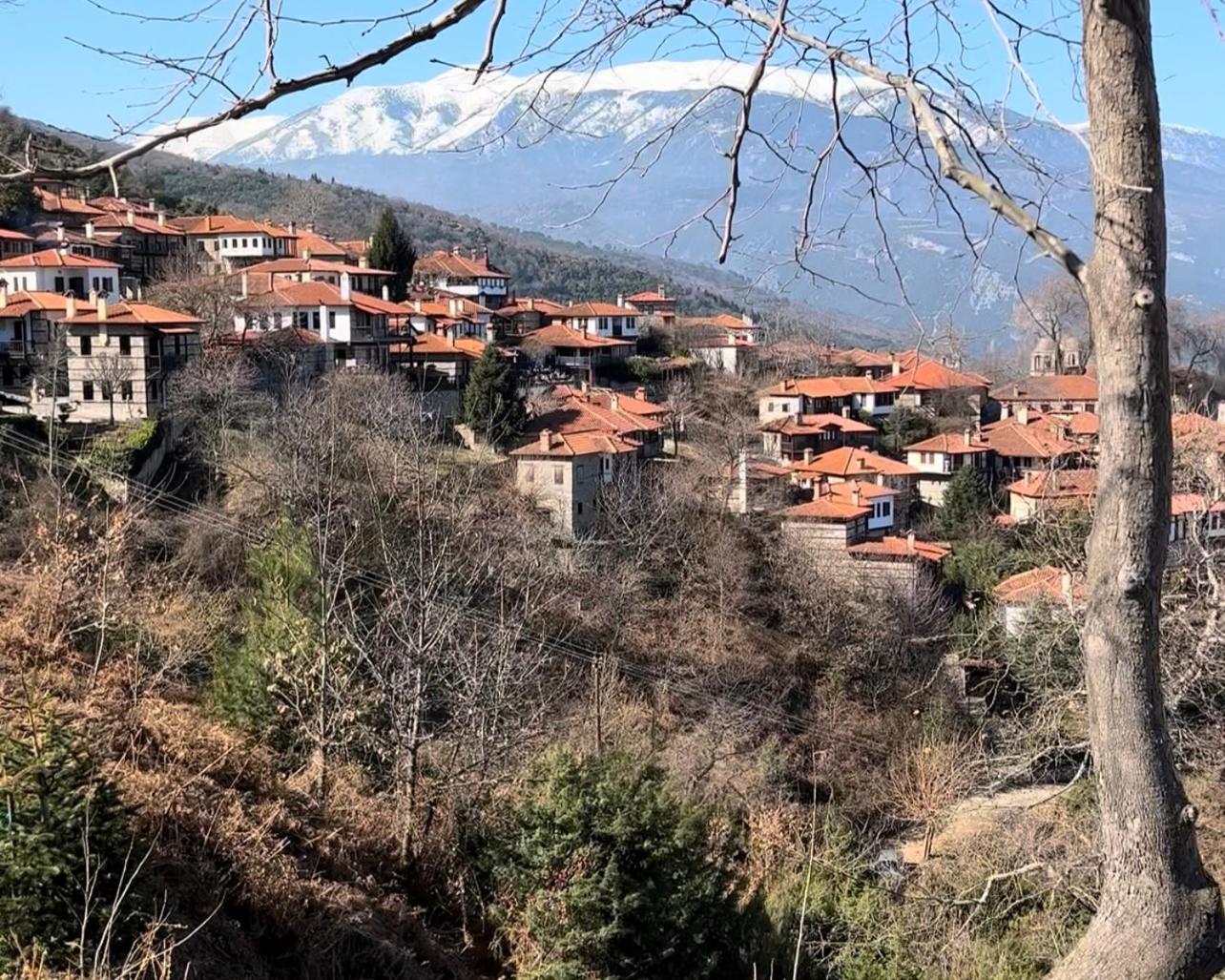 Villa Tzeni Palios Panteleimon