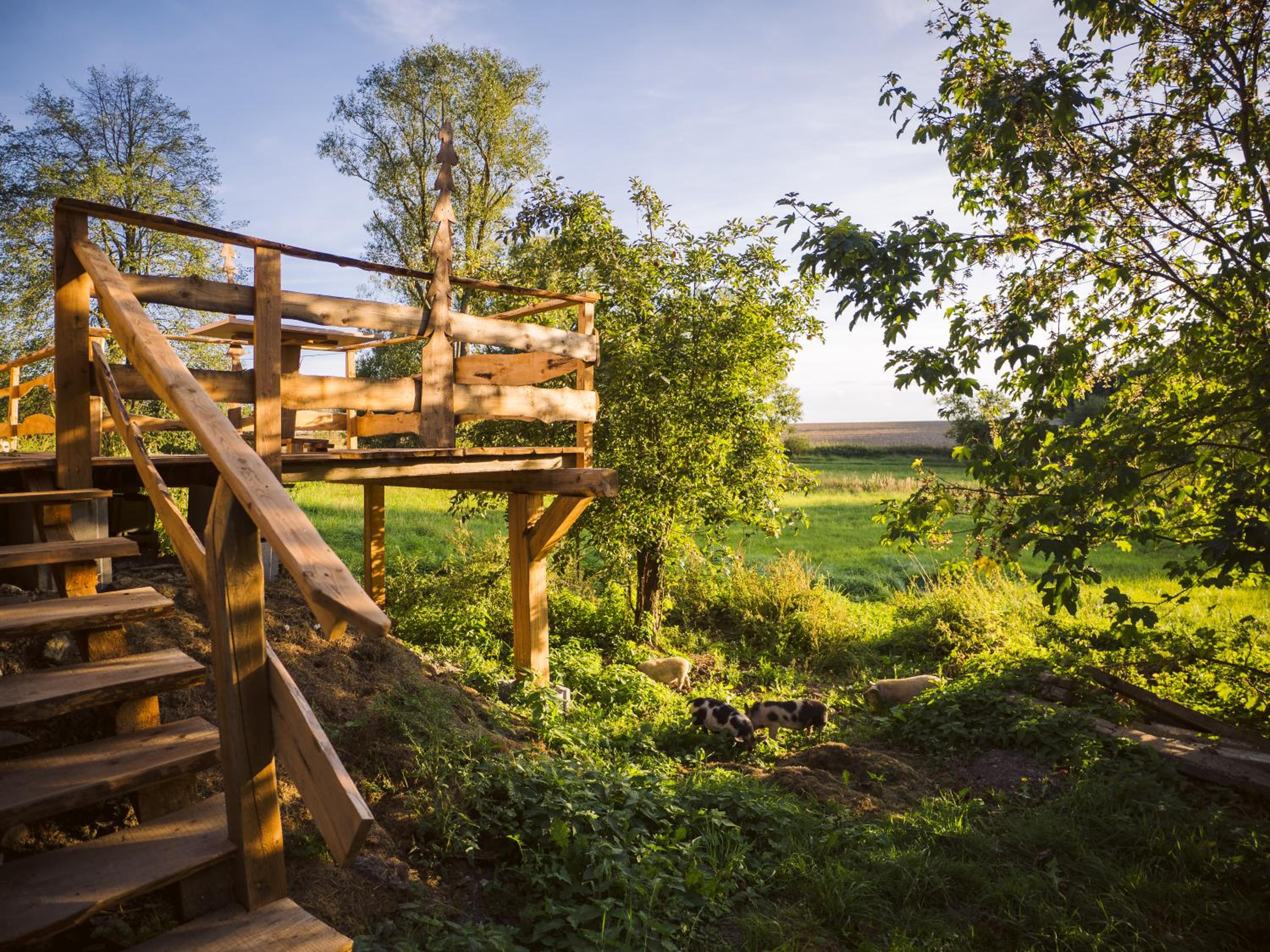 Terra Farma Cottage, cozy urban escapes here!
