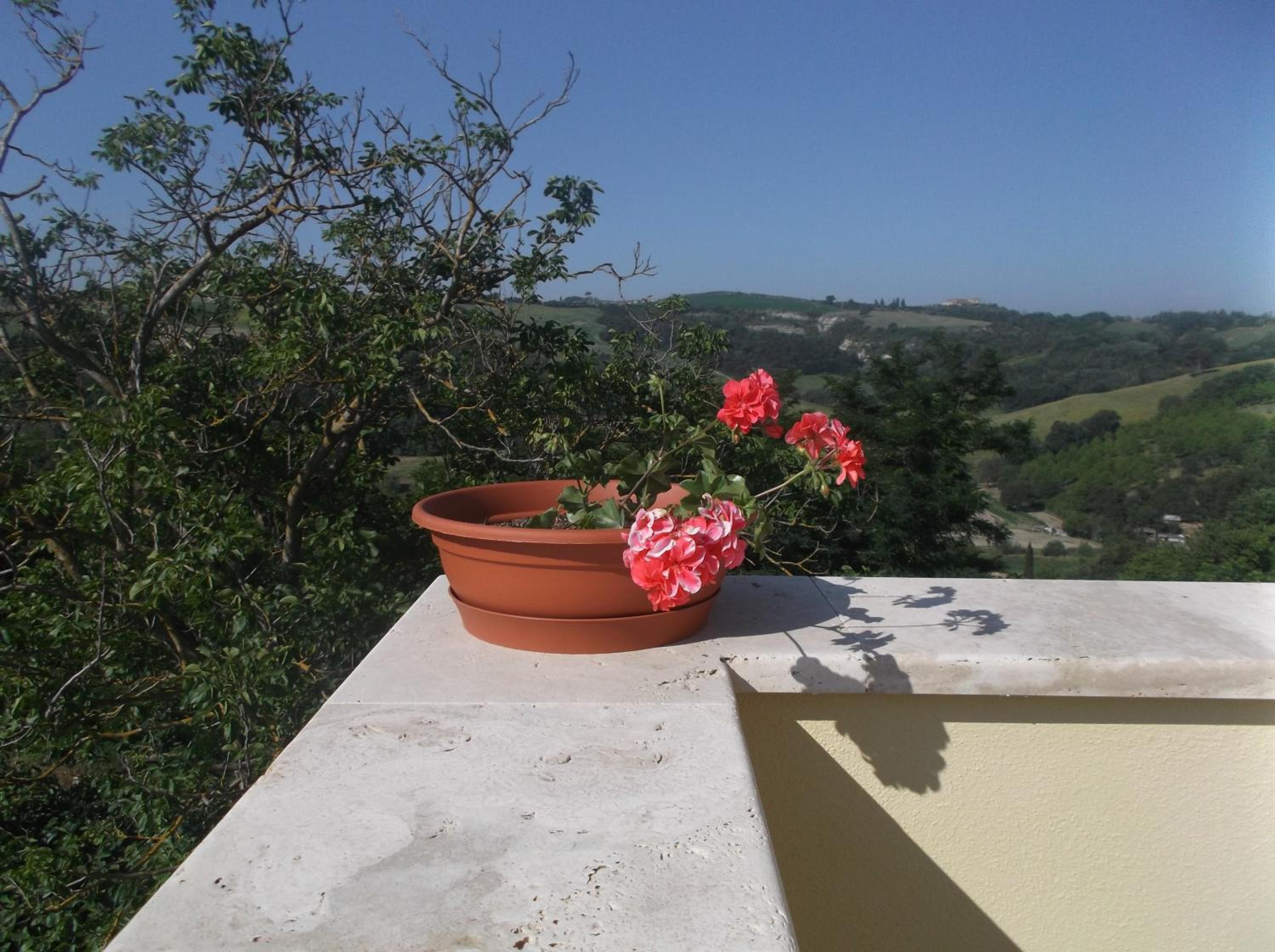 Agriturismo Dipinture view 5