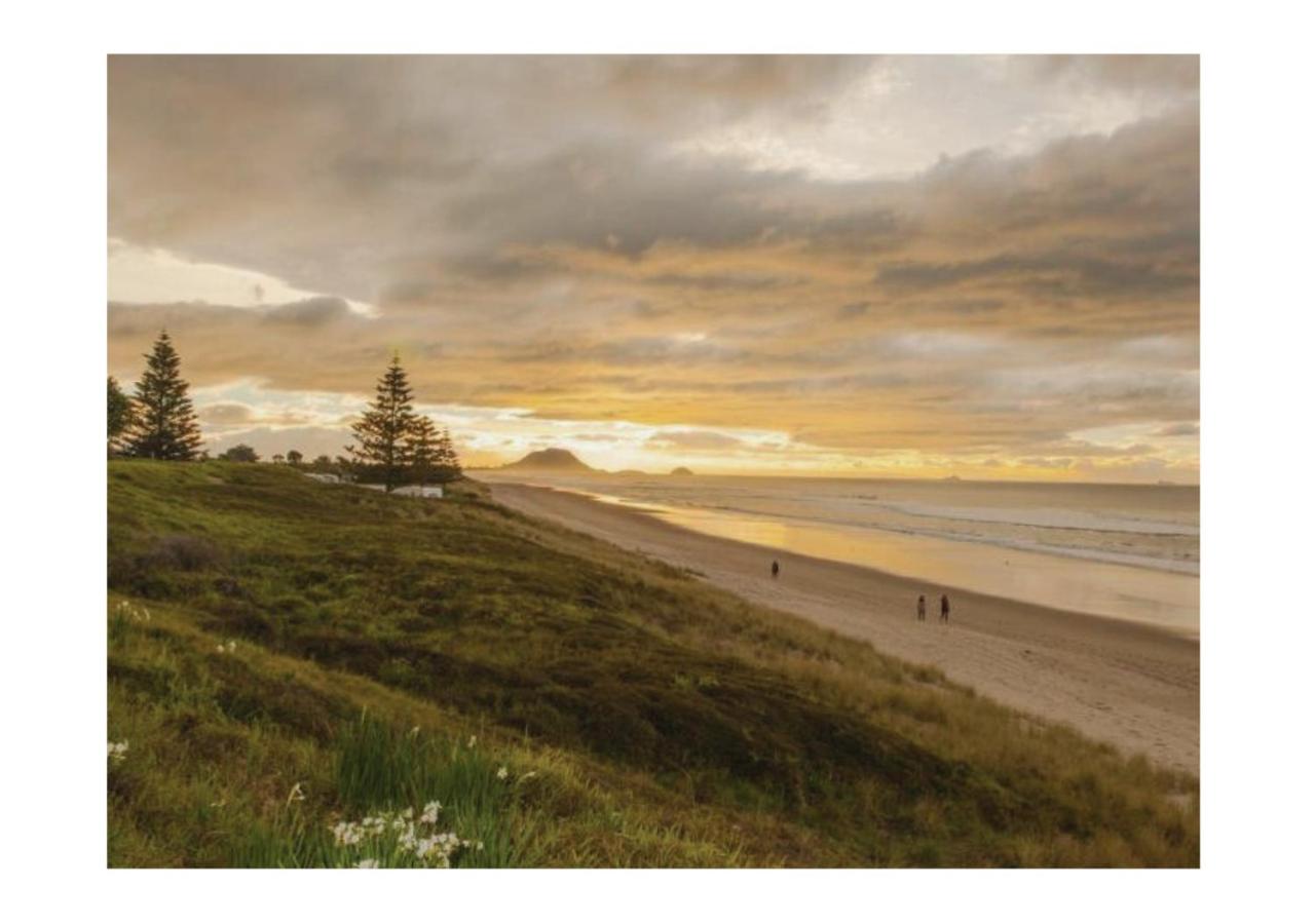 Free-Range On Papmoa Beach