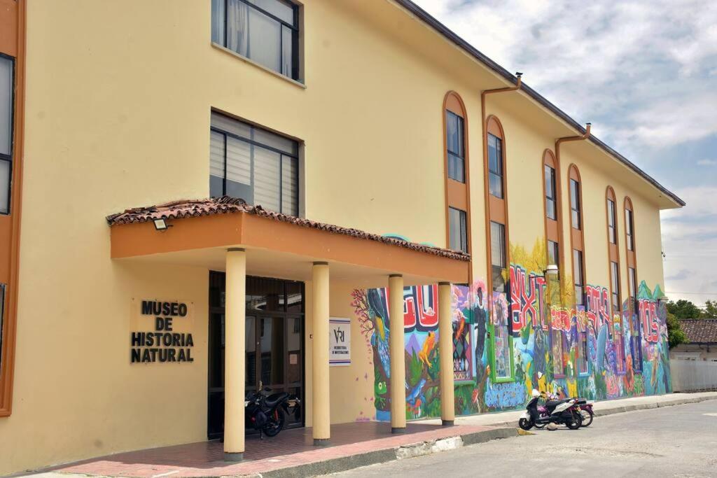Calma en el centro de Popayán con mobiliario nuevo