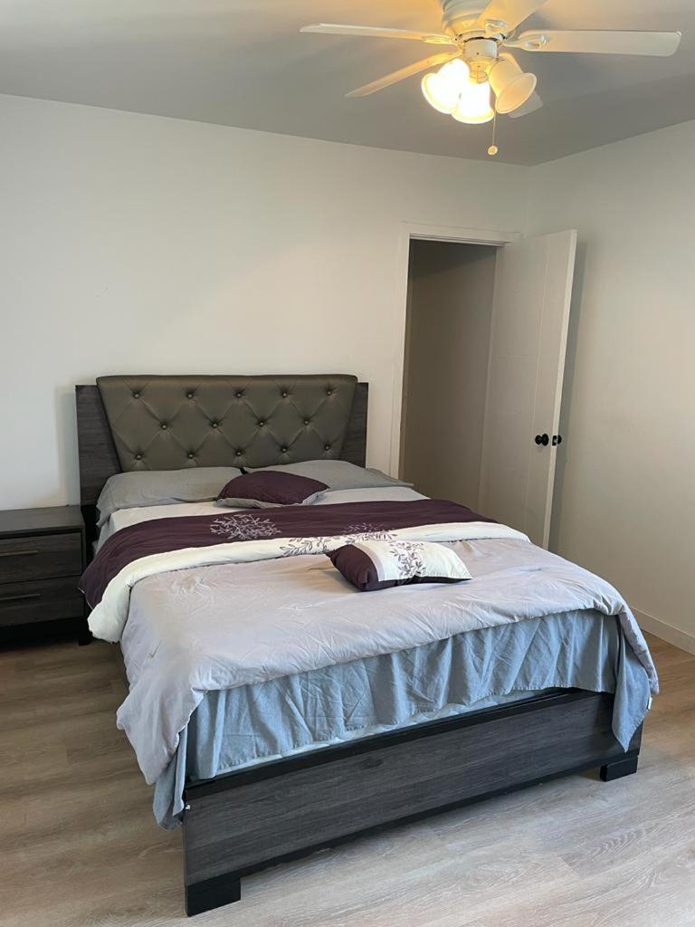 Renovateed Two-Bedroom Apartment in Santa Monica