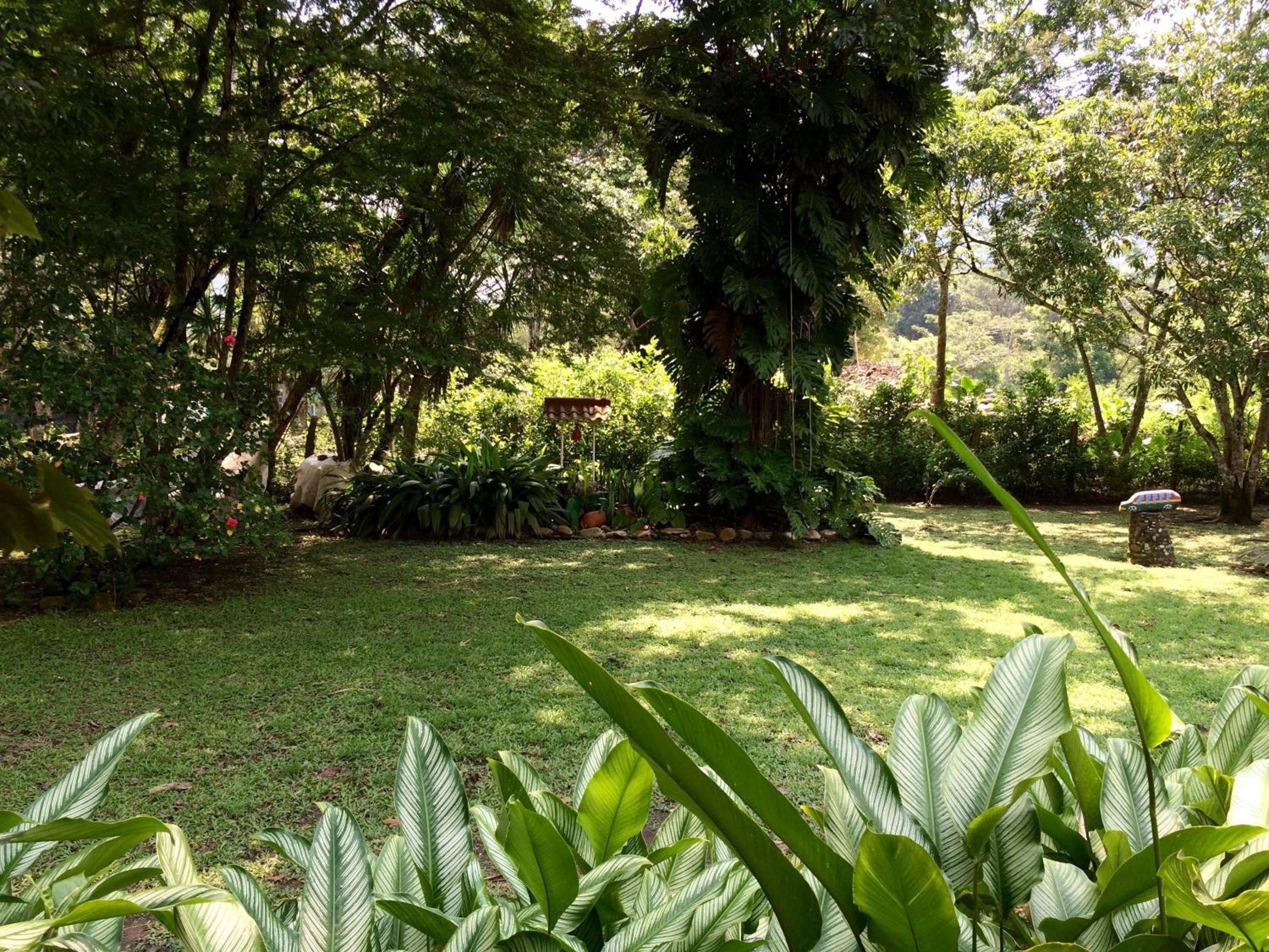 Finca Jerusalen