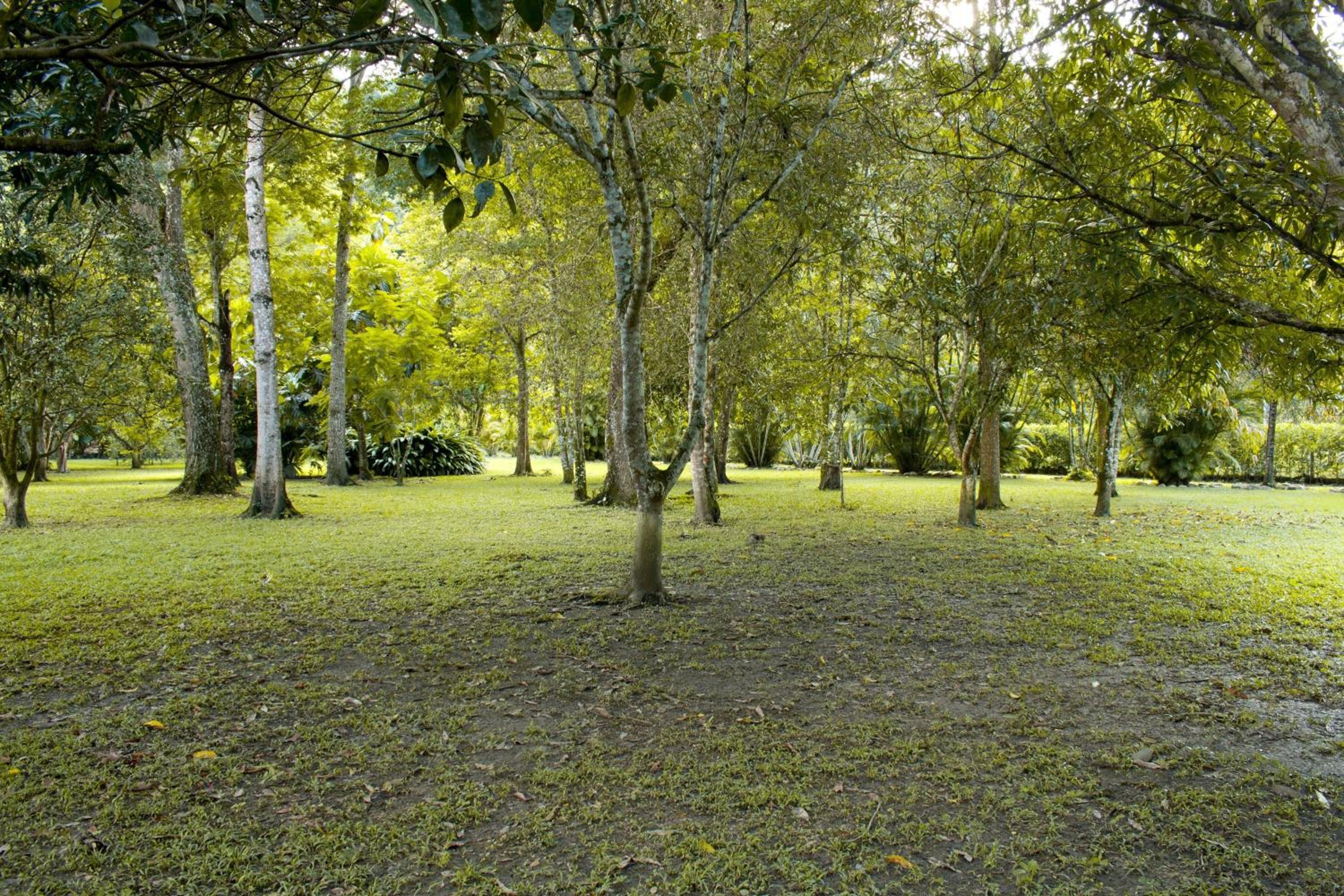 Finca Jerusalen