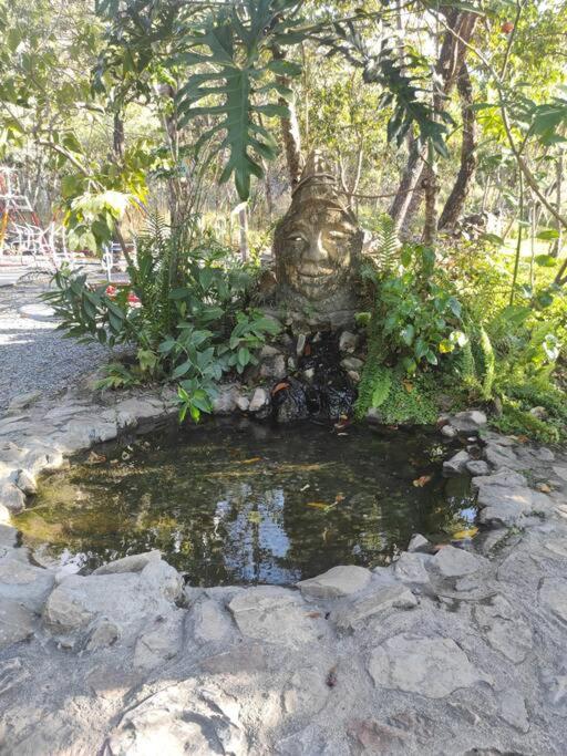 Casa com cachoeiras e contato com a natureza