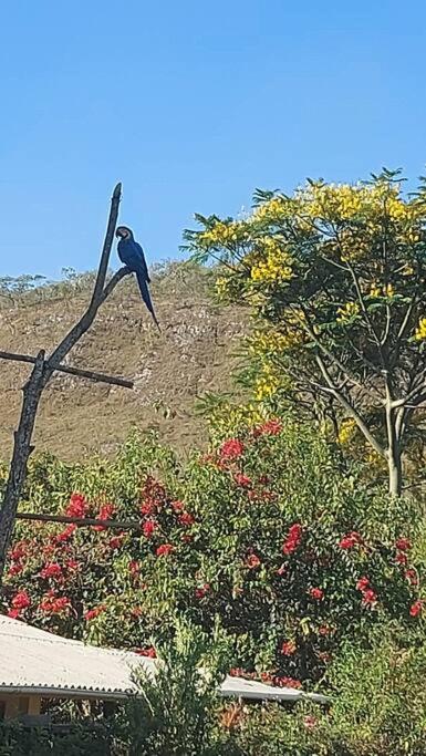 Casa com cachoeiras e contato com a natureza