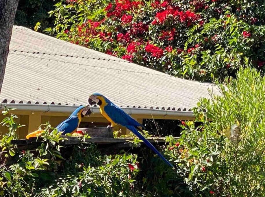 Casa com cachoeiras e contato com a natureza