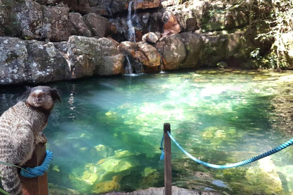 Casa com cachoeiras e contato com a natureza