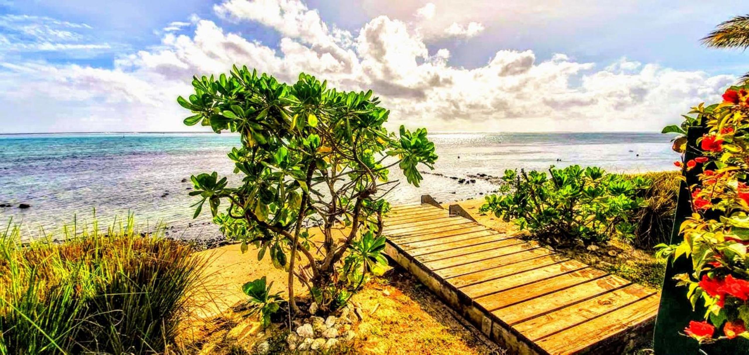 MOOREA - Fare Taina Nui