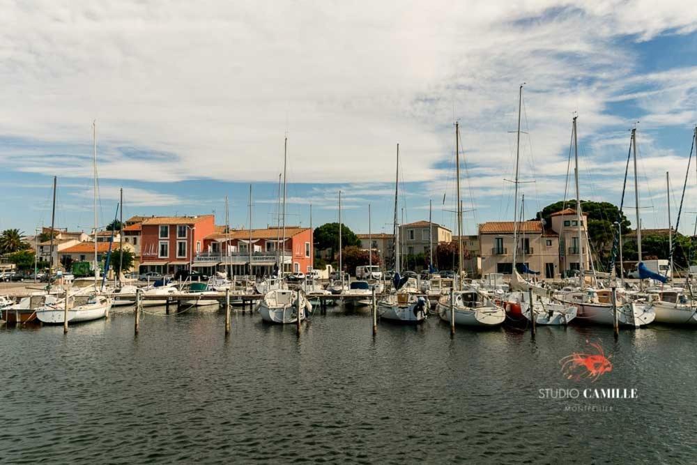 A La Voile Blanche, photo 32