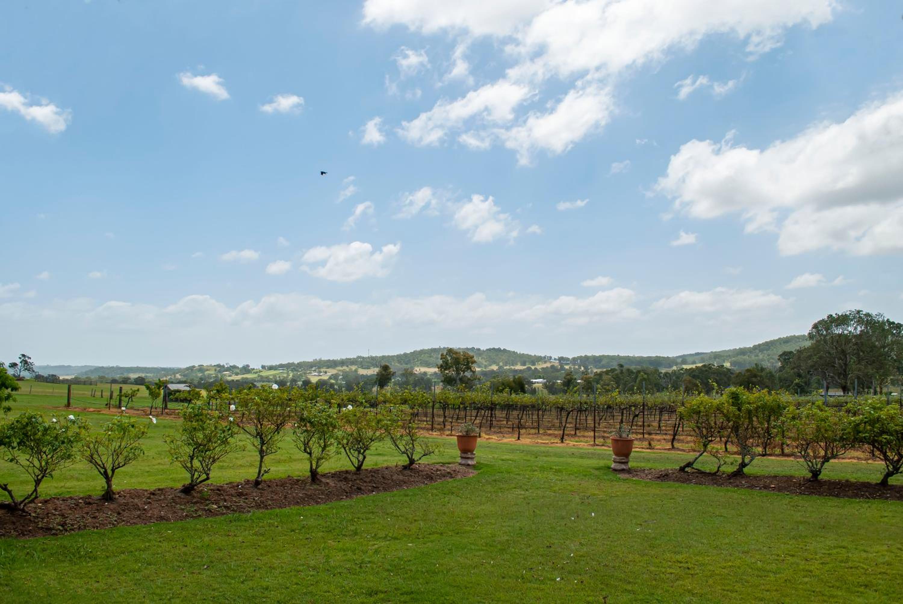 Bluebush Estate