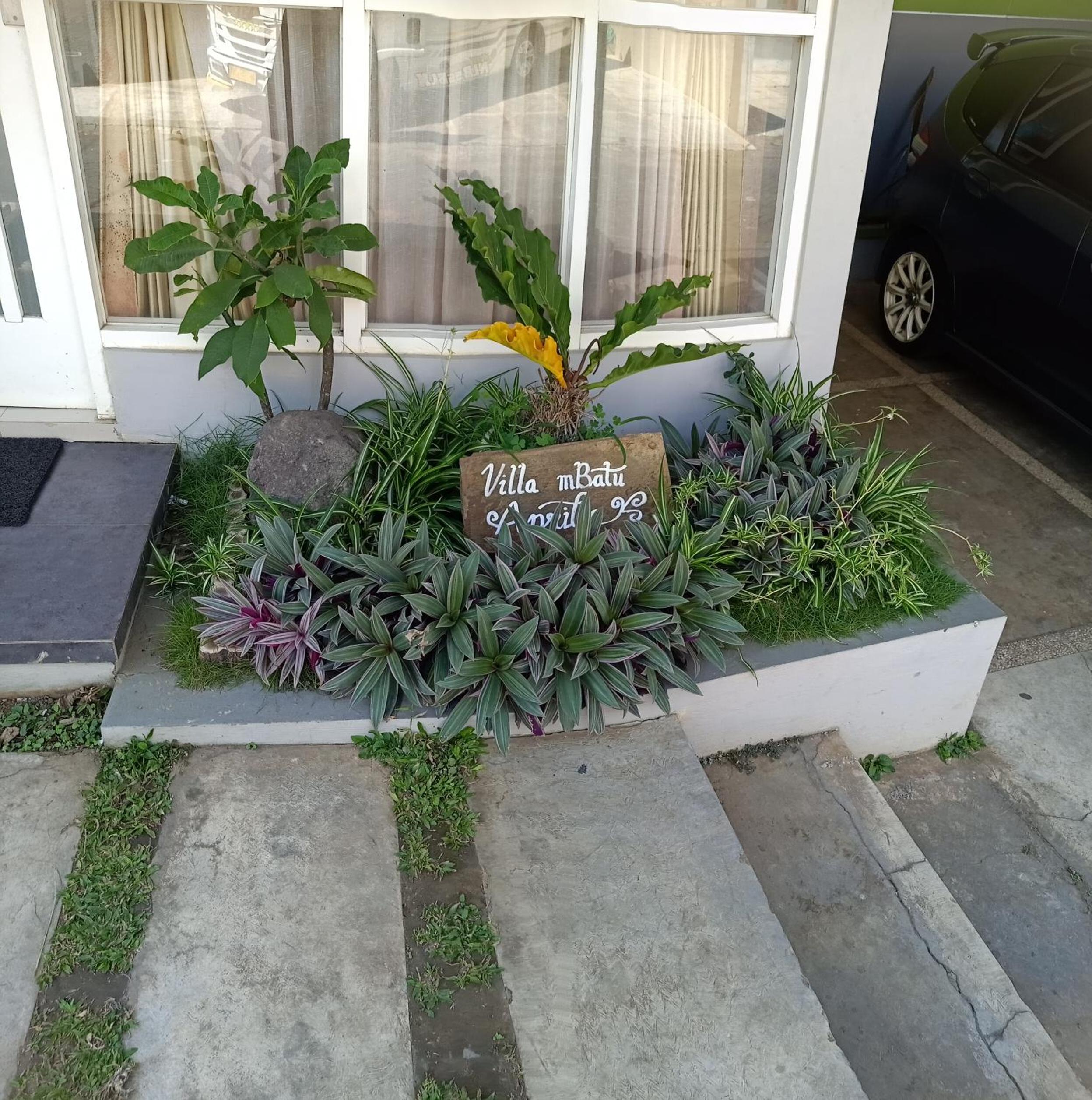 Photo 22