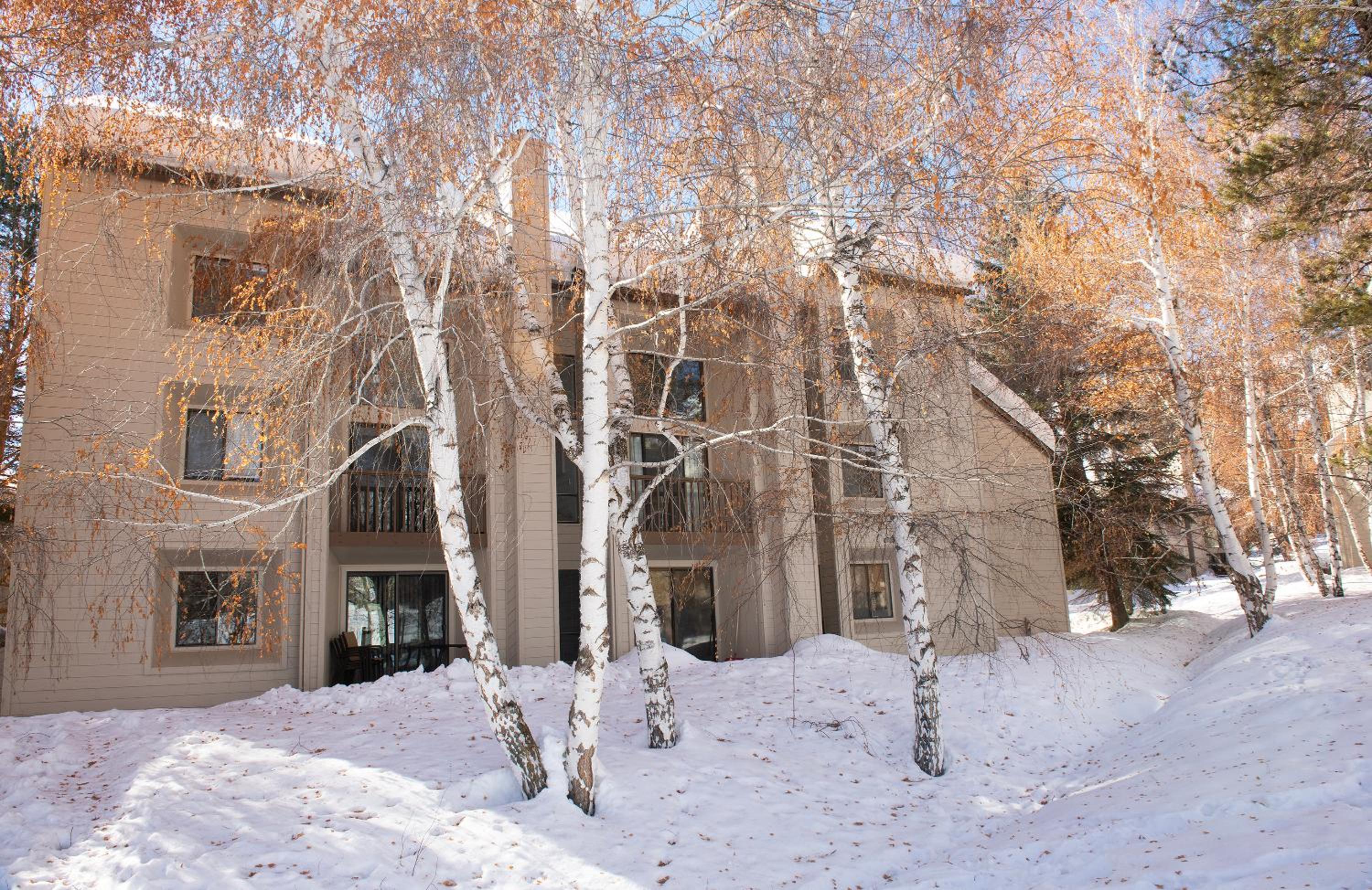 Miscellaneous Market Vacations - Indian Springs Condo 2415 - Property Image 4