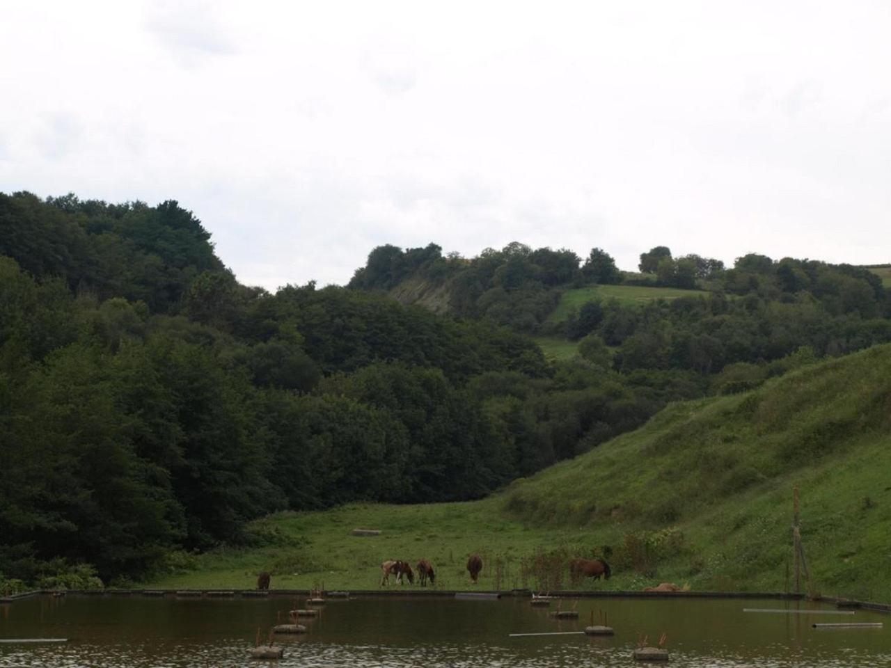 Photo 42