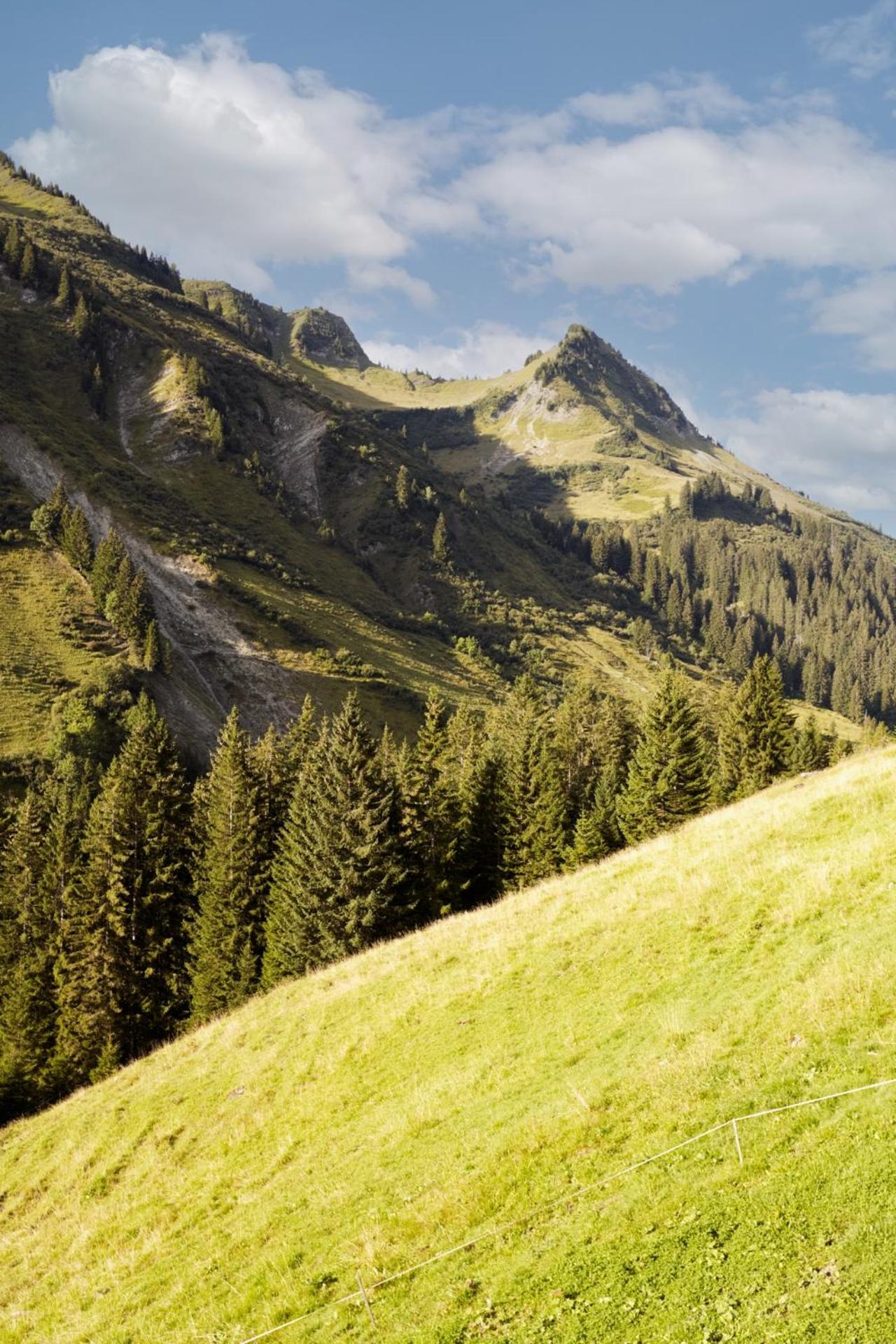 Alpenstolz Damüls Haus 4 - Stilvoll urlauben in den Bergen
