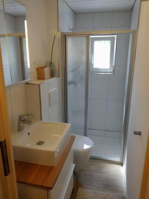 Bijou 1 Hübsche 1 Zimmer Wohnung
