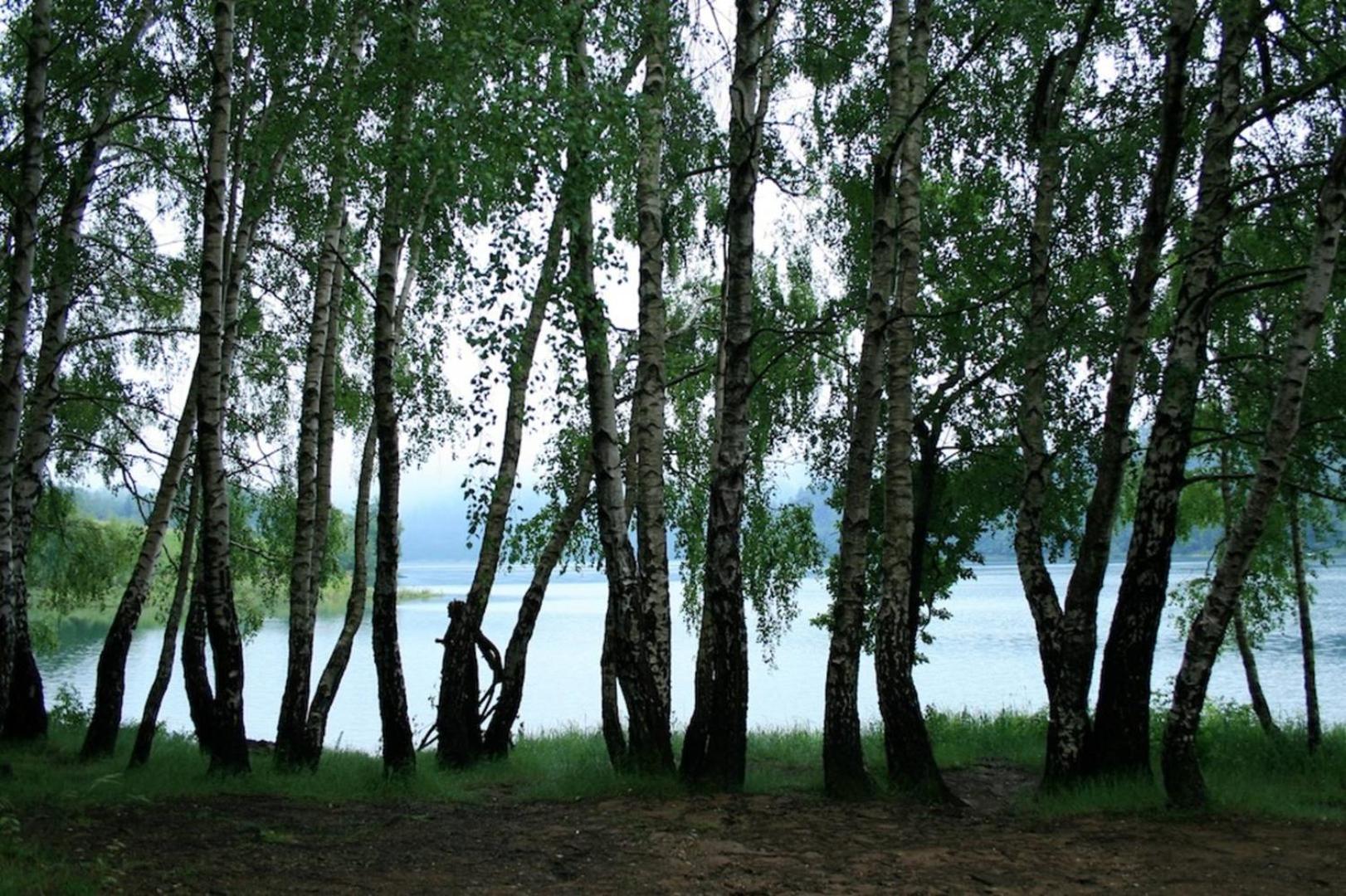 Photo 33