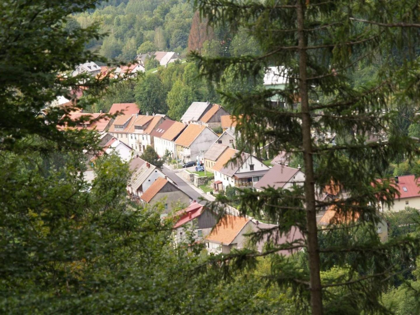 Photo 42