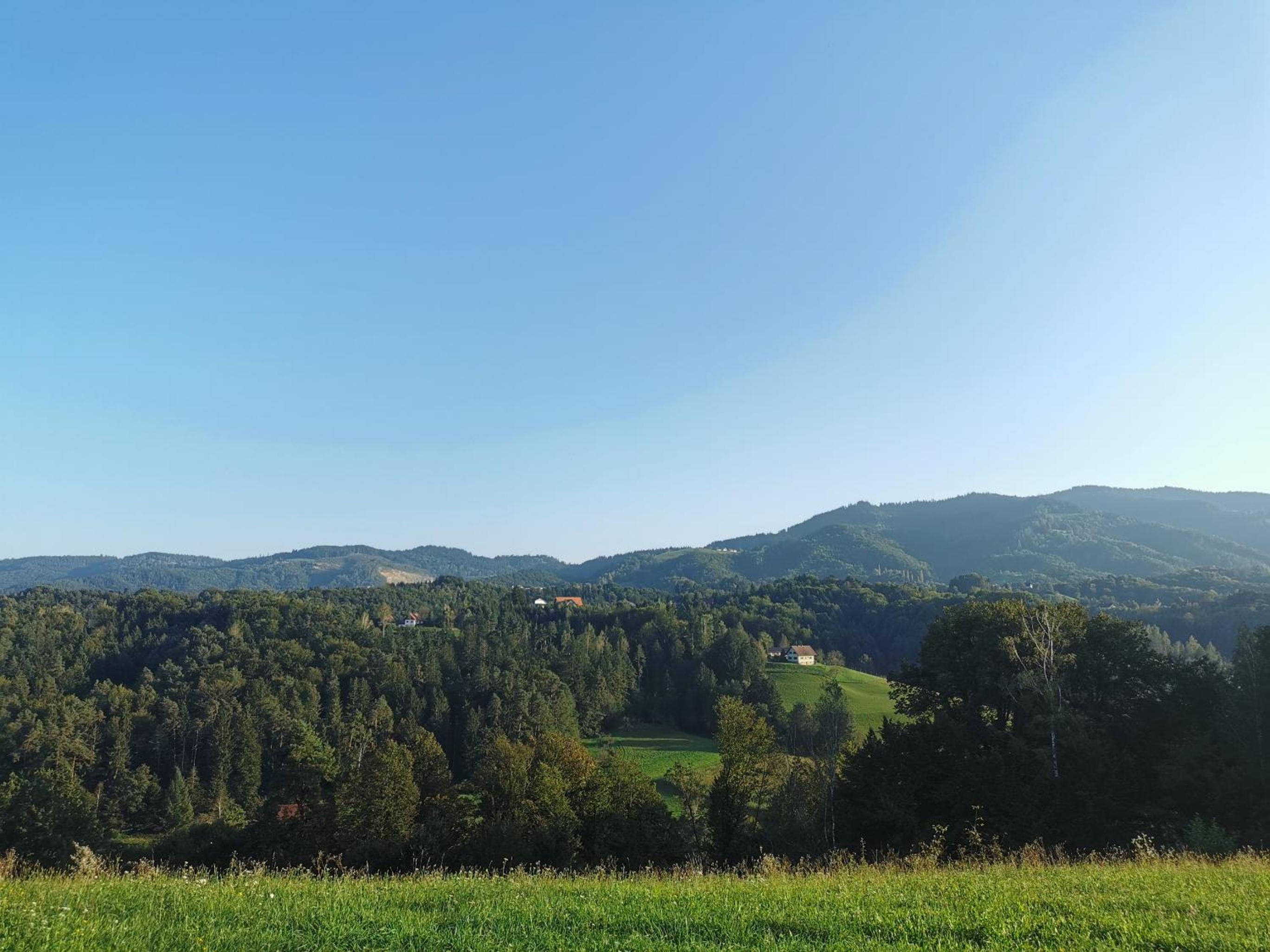 Stilvolles Ferienhaus Südsteiermark ruhige Lage top Aussicht & E-Ladestation