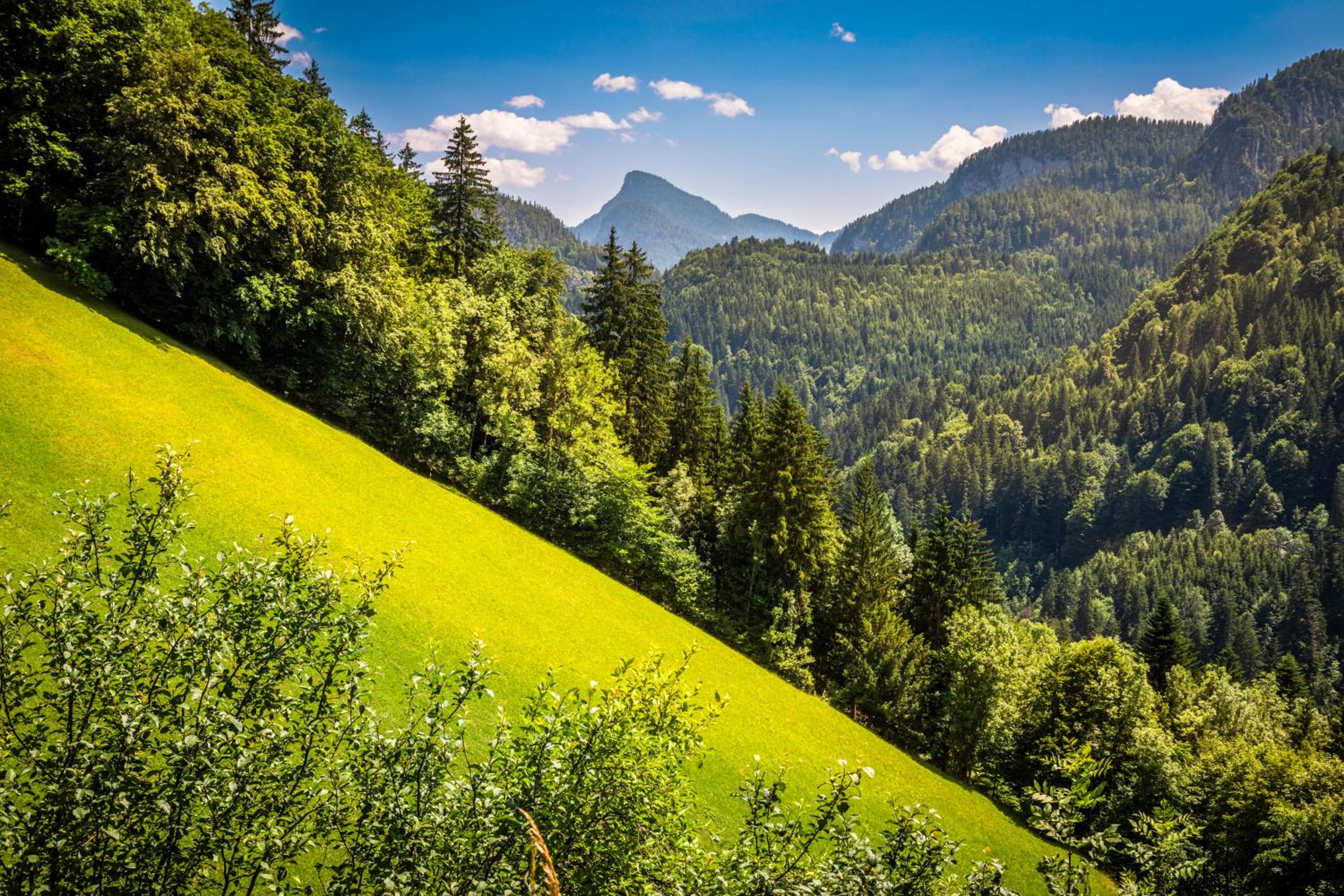 Biobauernhof Schneiderbauer