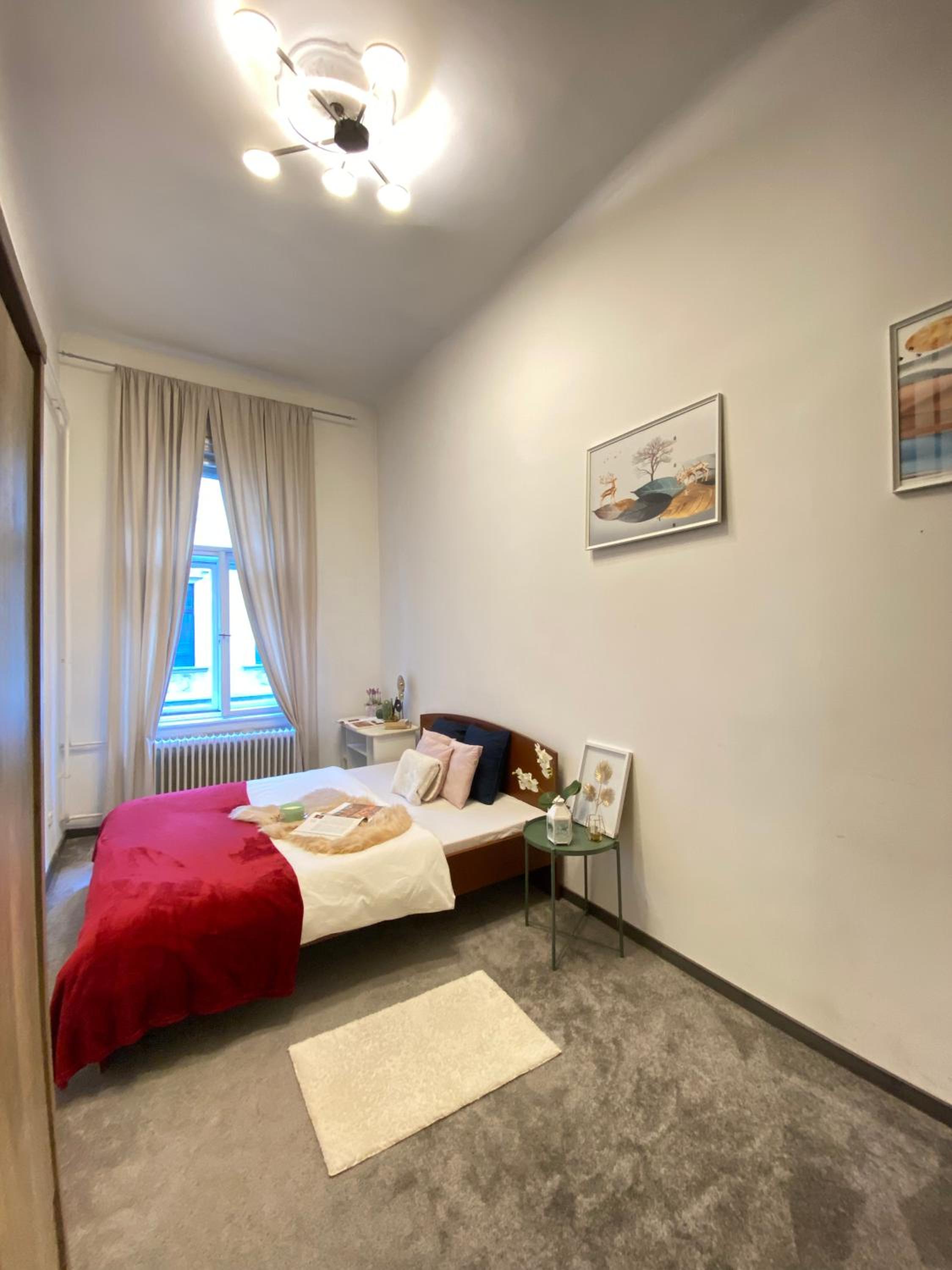 Sziv Apartment - Modern and Comfortable