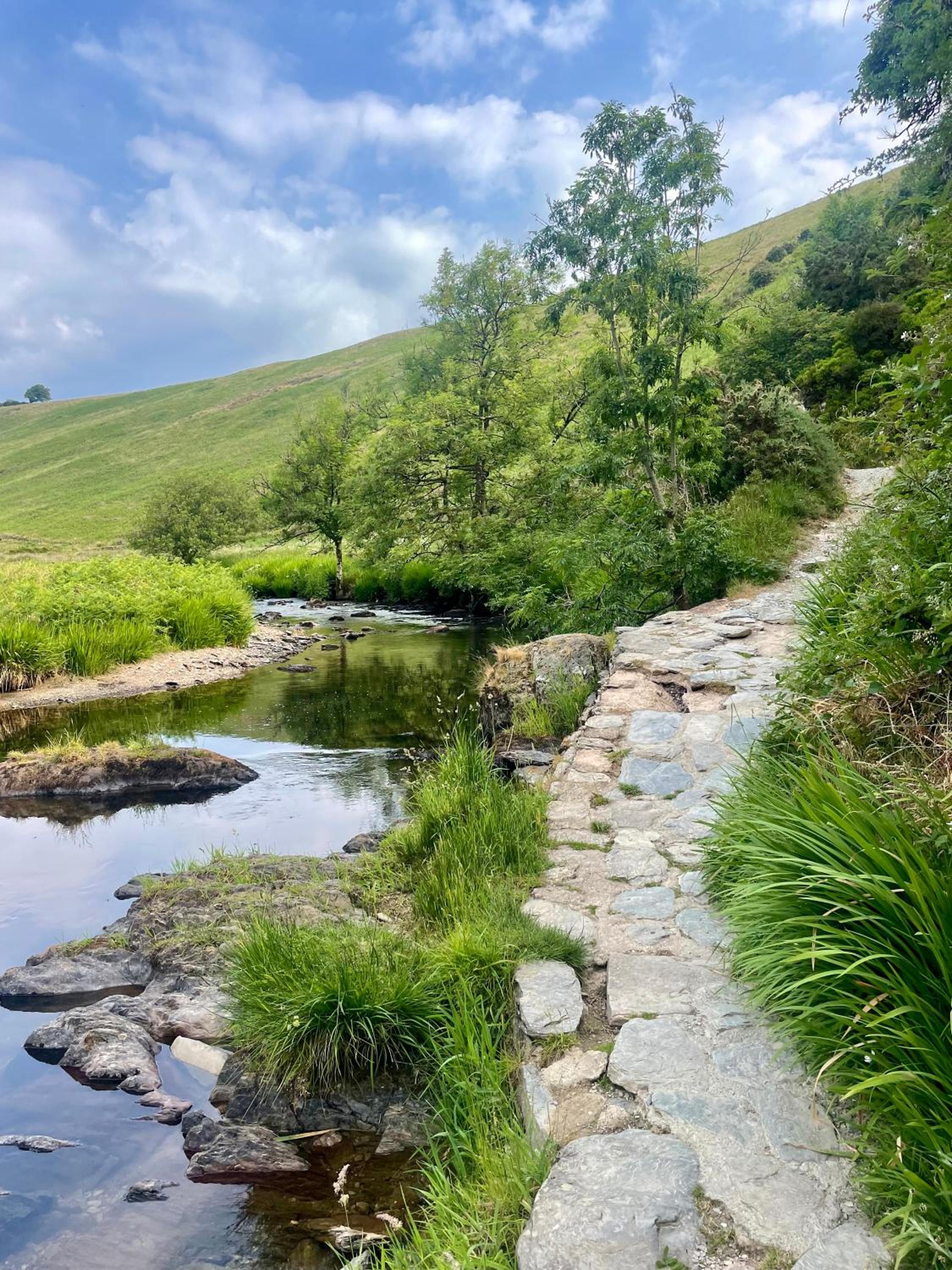Winstitchen Cottage situated near the River Barle