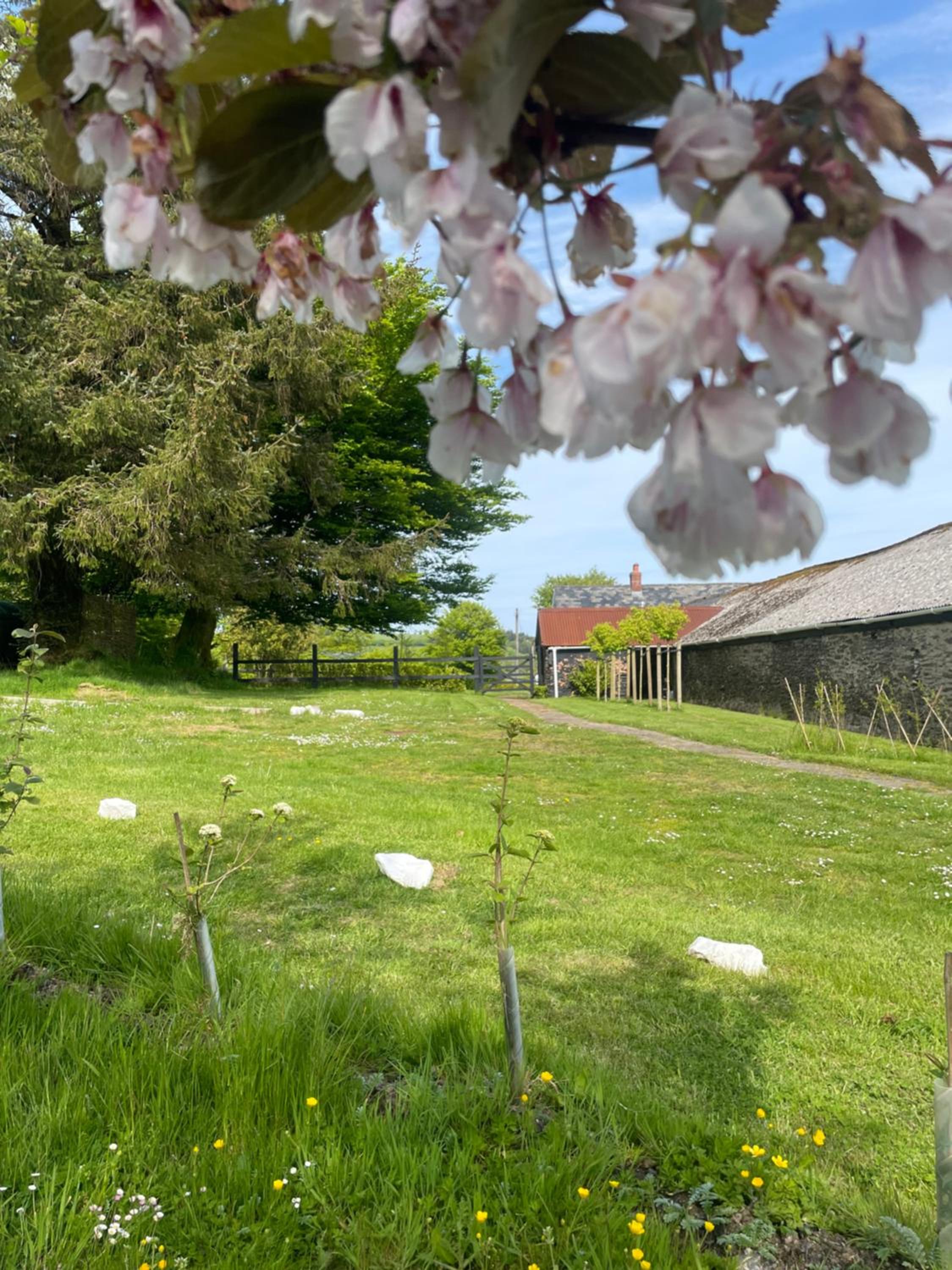 Winstitchen Cottage situated near the River Barle