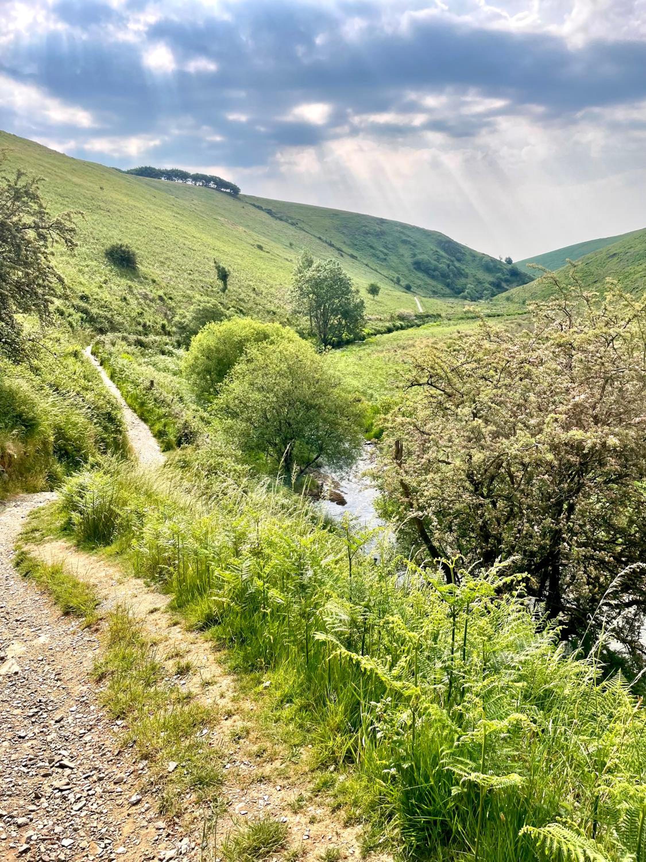 Winstitchen Cottage situated near the River Barle