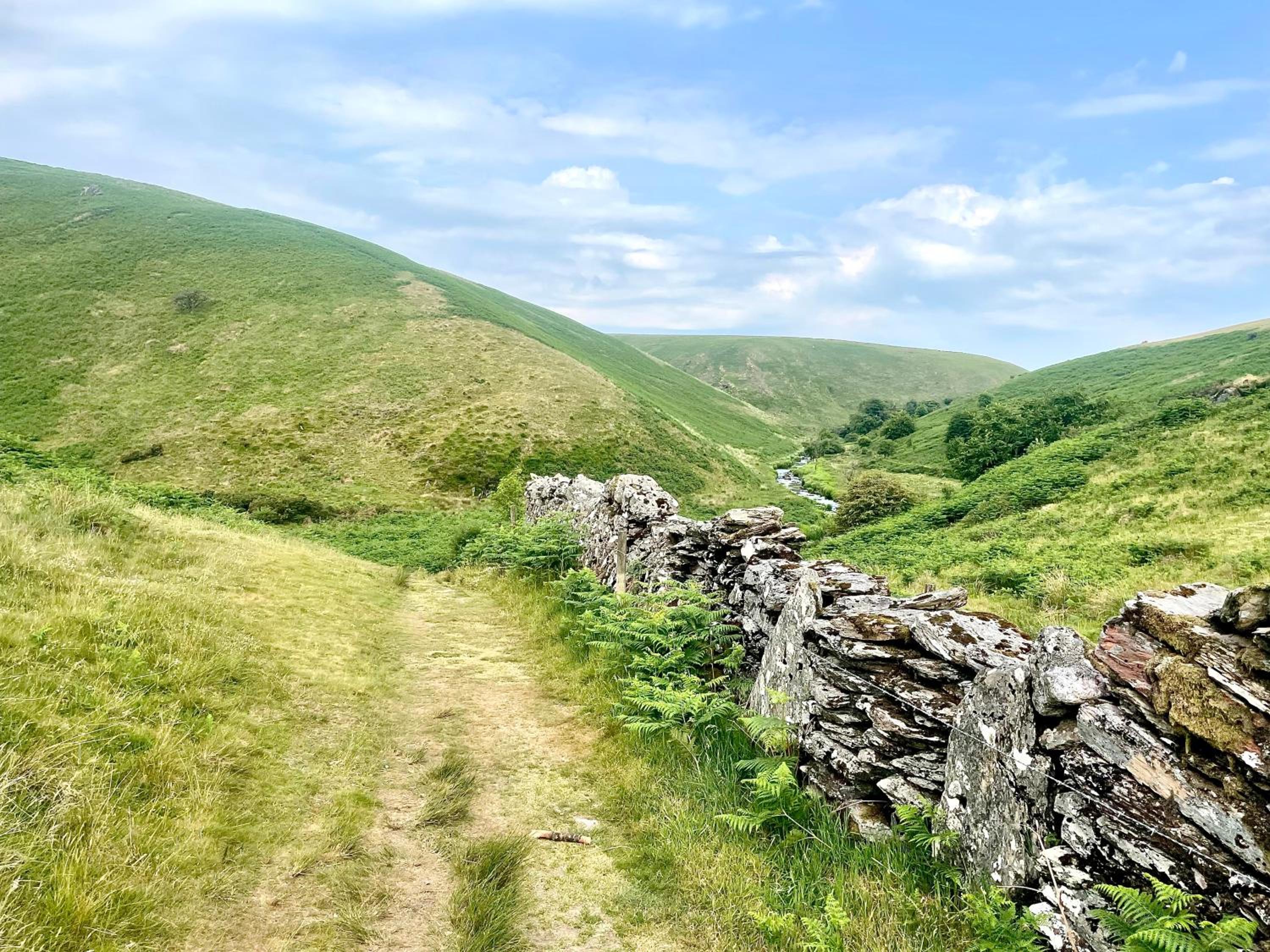 Winstitchen Cottage situated near the River Barle