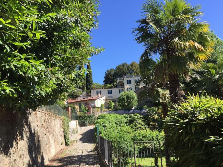 Dolce vita sur la colline de Turin view 5
