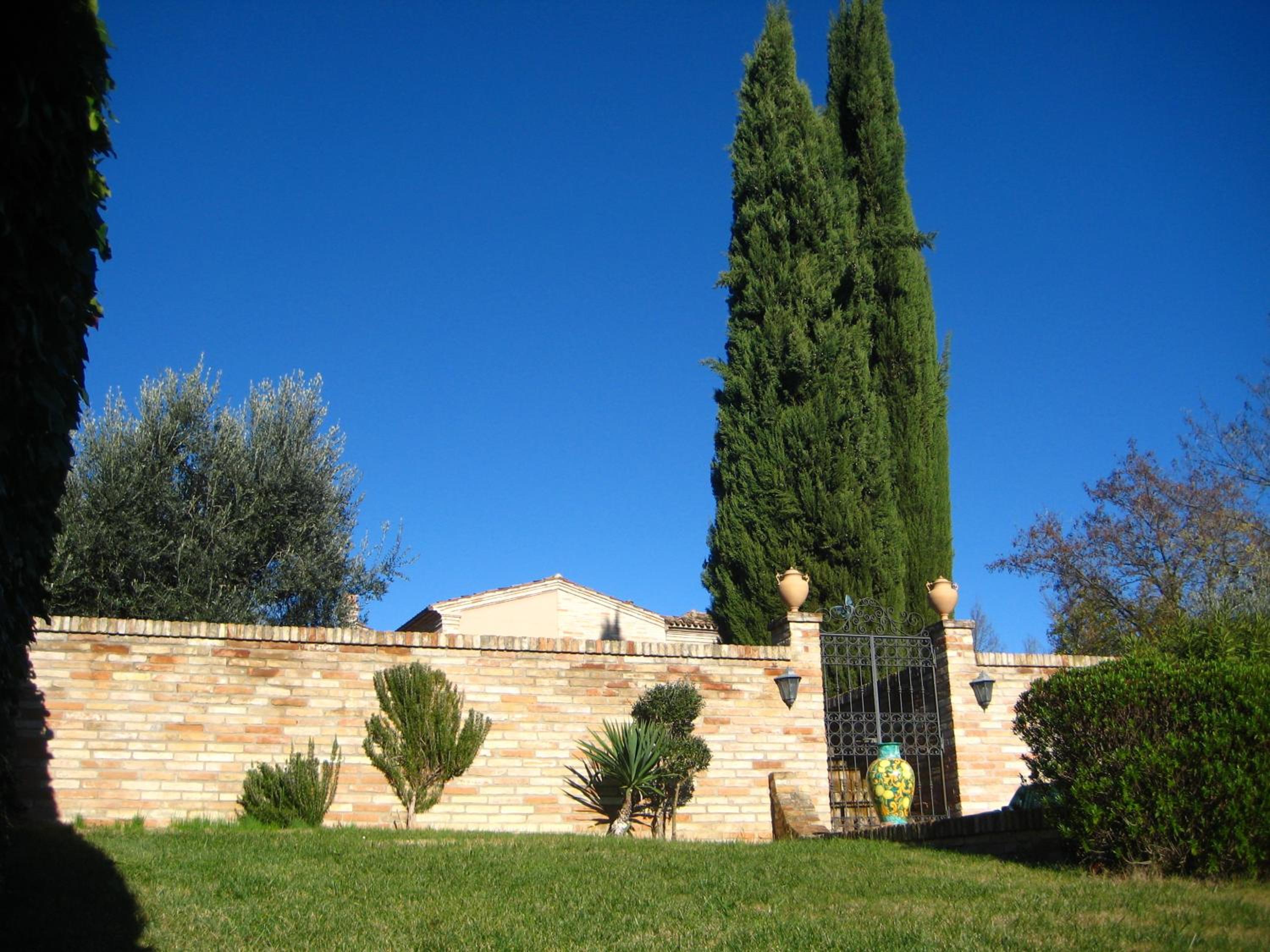 Photo 20