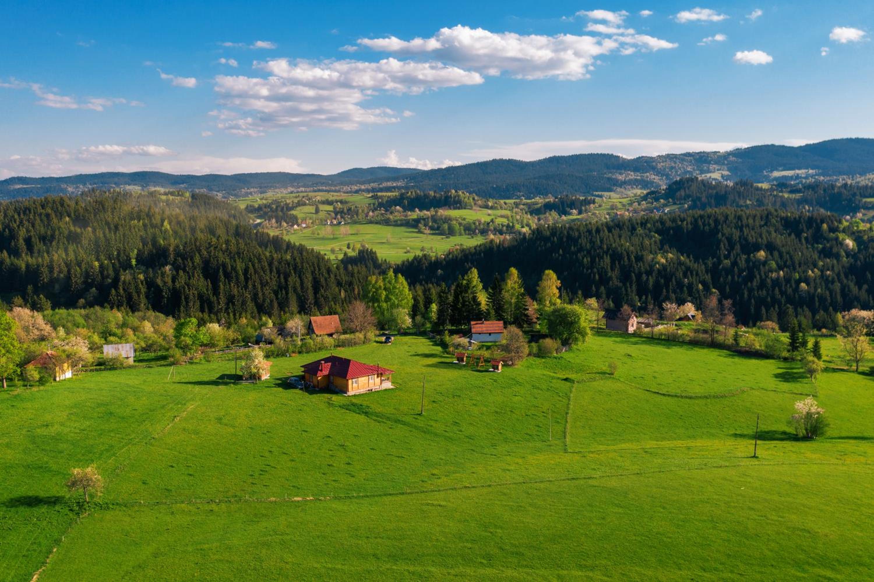 Aronija Zlatar view 2