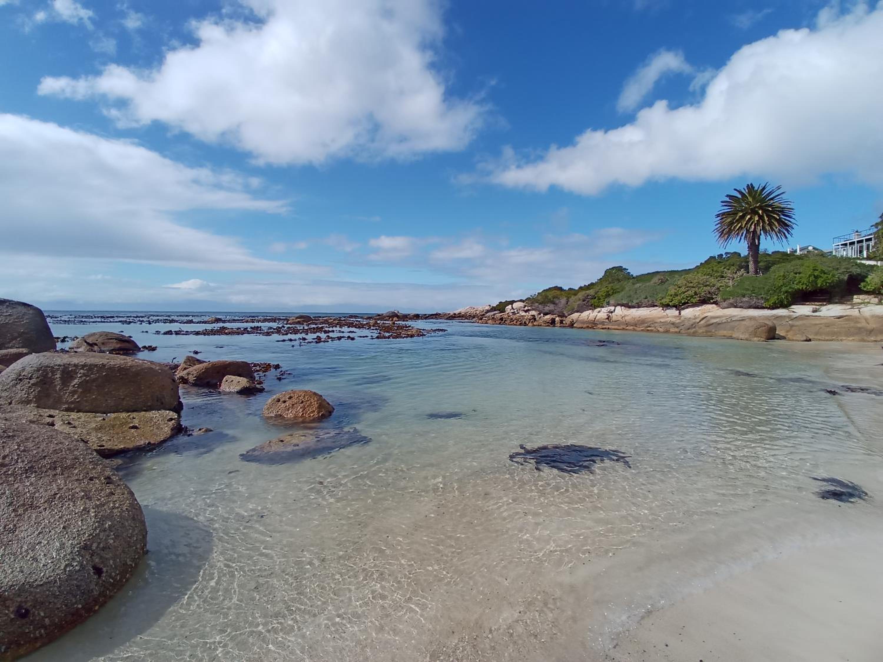 Bonne Esperance, Simon's Town view 3