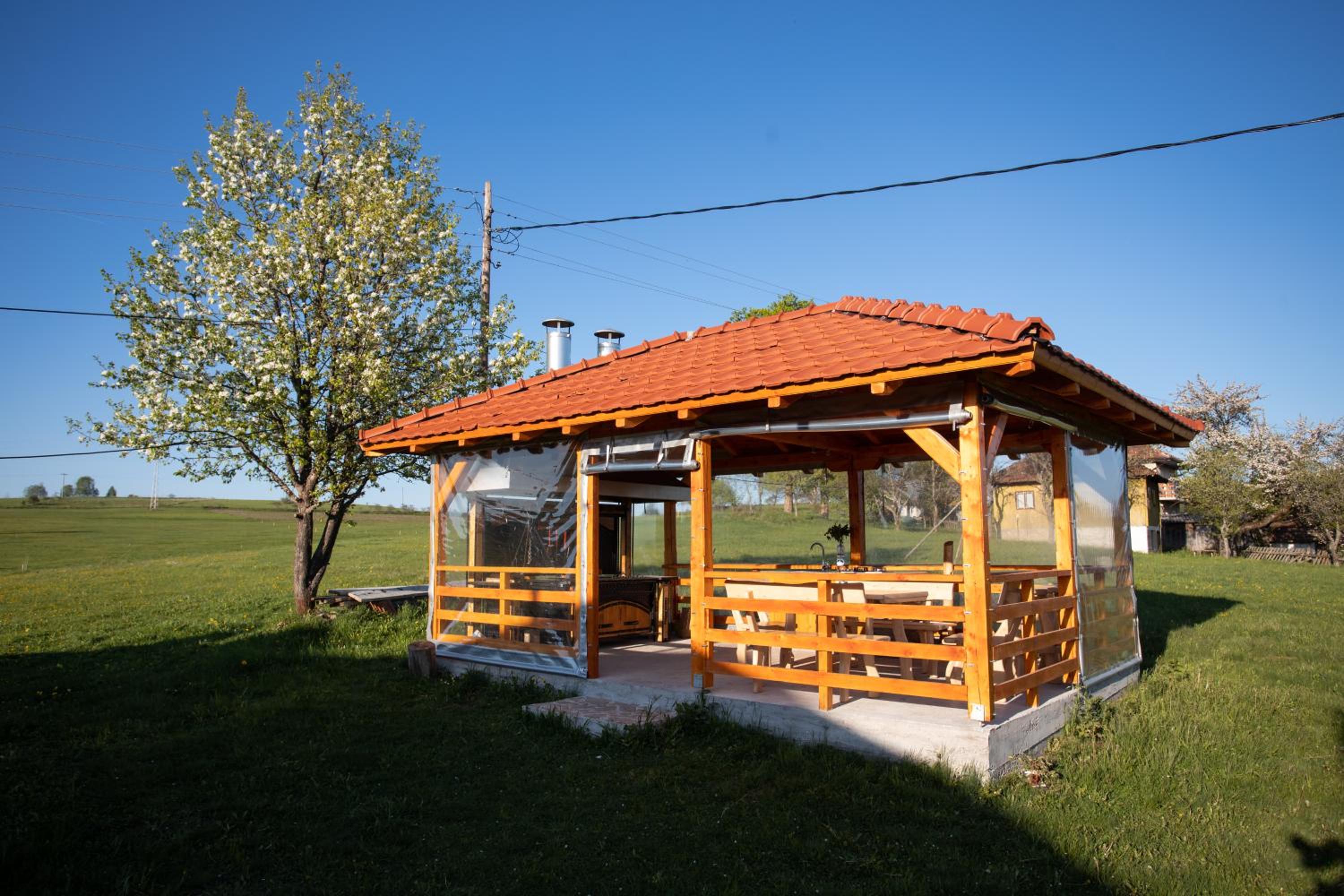 Aronija Zlatar view 4