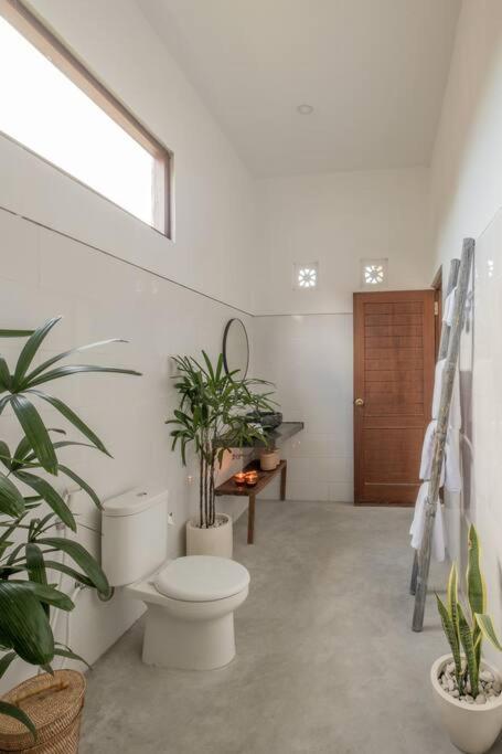 AMAZING 3 BDR Canggu Villa in ULTIMATE location
