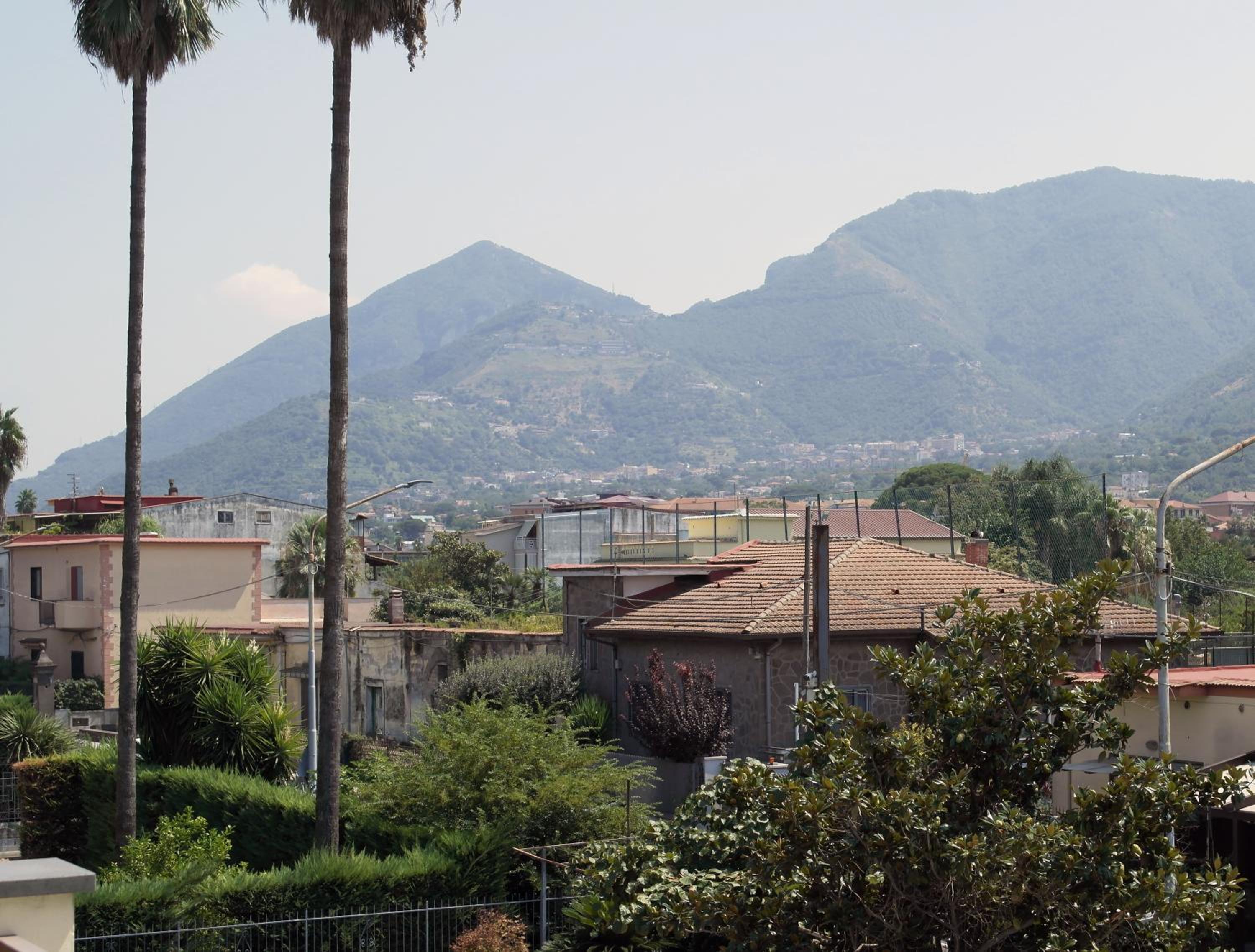 Ribo Apartments